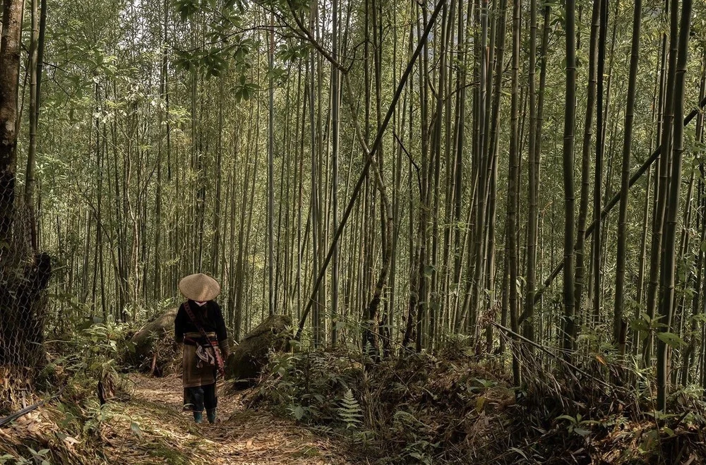 Forest Falls, Valley Echoes