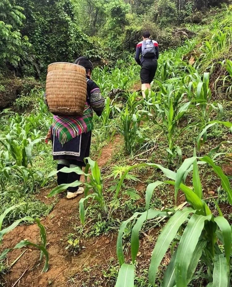  Uphill with the Basket Carriers