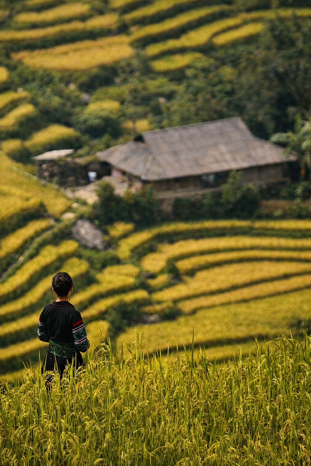 What Would It Mean to Live With the Mountains, Not Just Visit Them?
