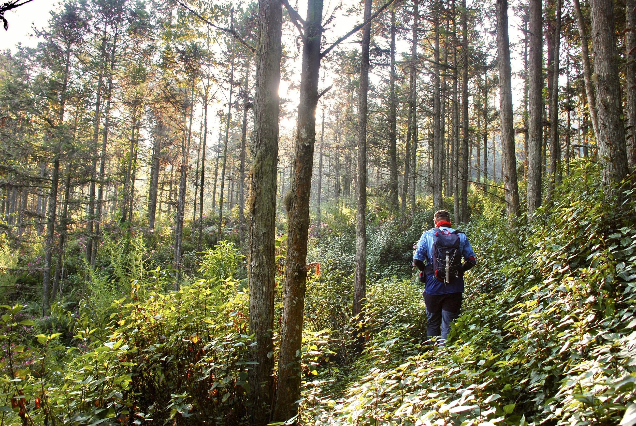 Do You Need a Guide in Sapa? What Is Necessary and What Is Not