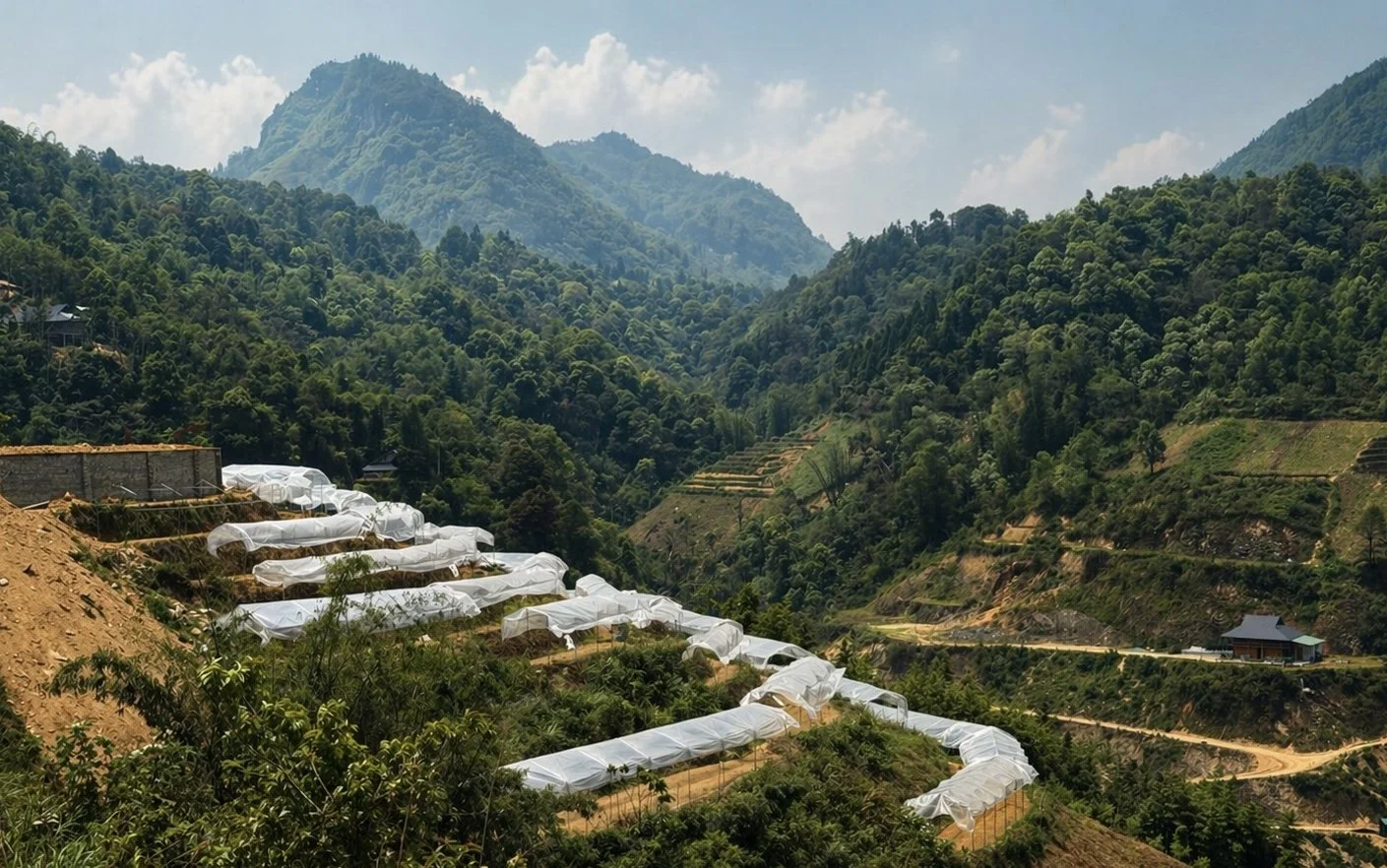 Sapa’s Hidden Shift: Trekking, Traditional Culture and the Spread of Plastic Across the Mountains