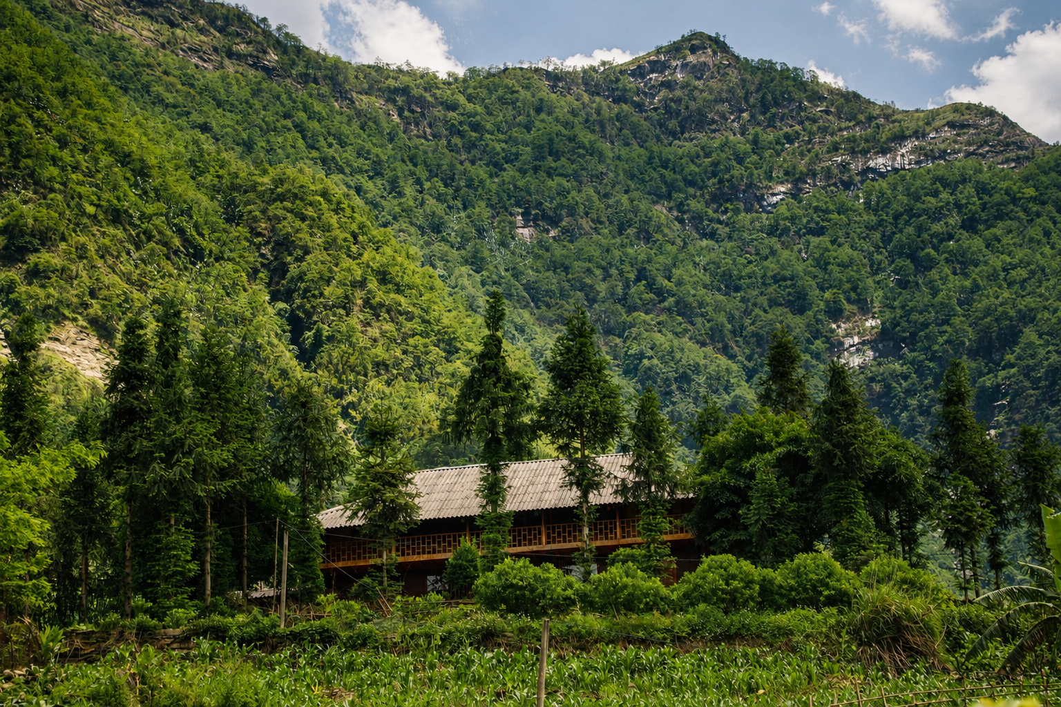 When Beauty Becomes Backdrop: Traditional Villages and the Future of Sapa