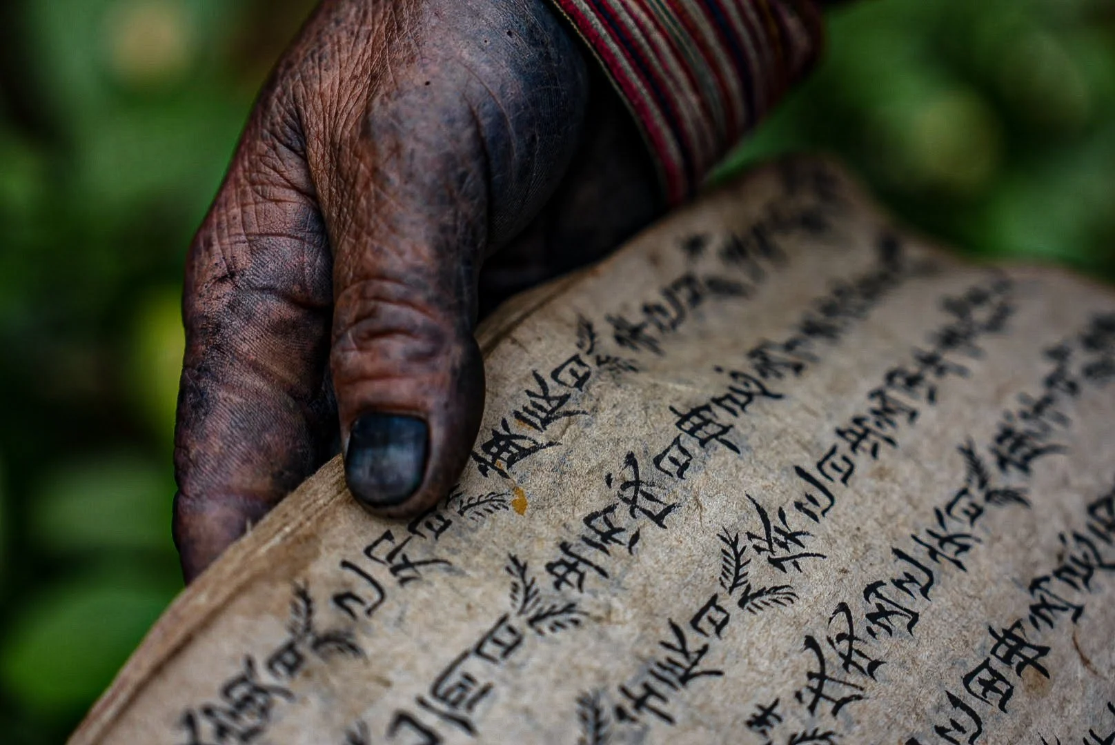 The Sacred Books of the Red Dao: Ritual Manuscripts, Handmade Paper and Living Knowledge