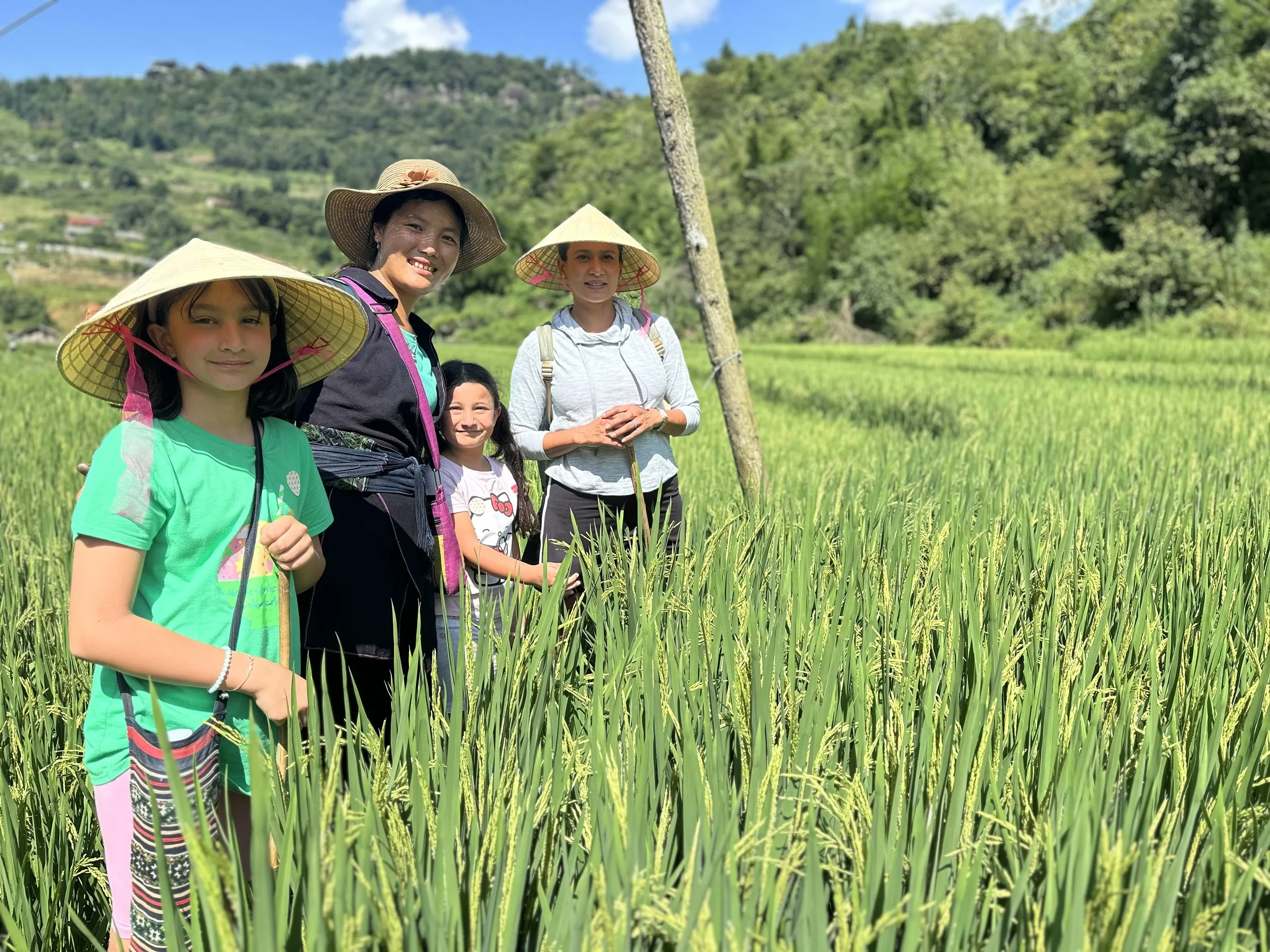 Family standing among green rice fields in Sapa