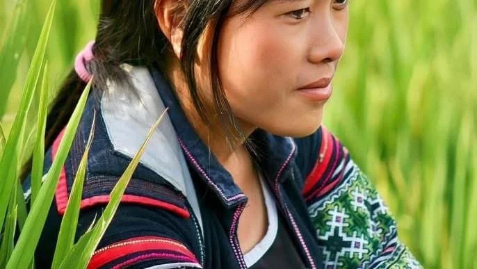 Local woman from a Sapa hill tribe resting in green rice fields, representing everyday life and cultural traditions in northern Vietnam.
