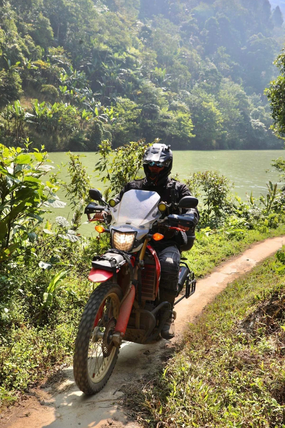 Motorbike rider navigating a narrow trail through forested highland countryside.