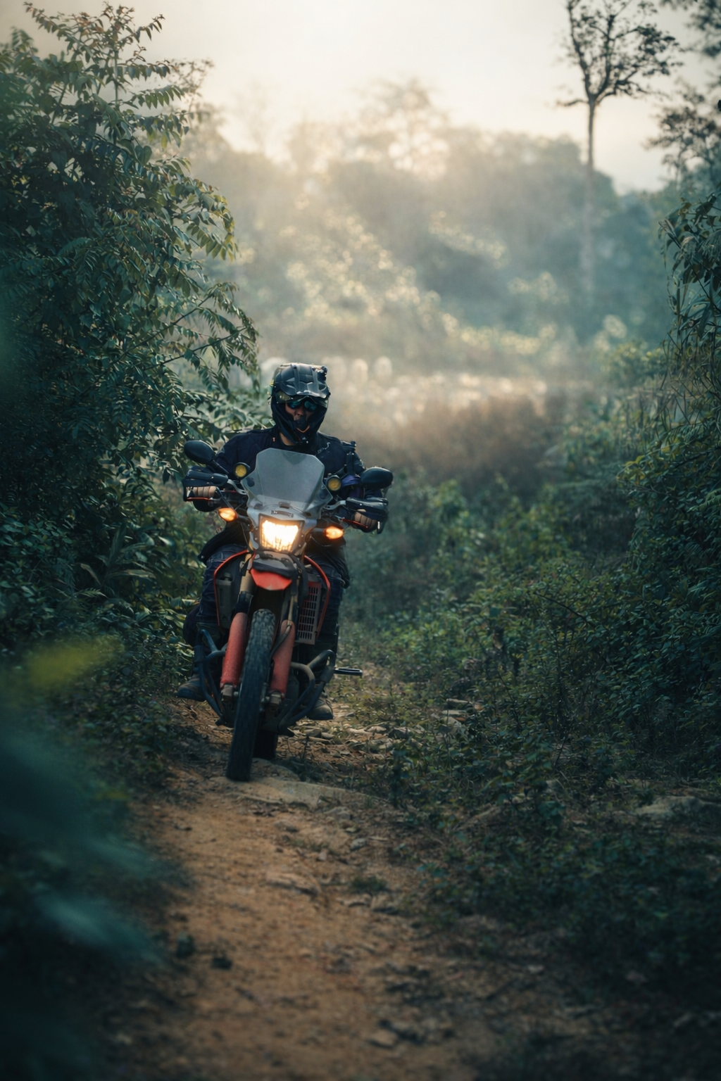 Motorbike rider travelling through lush countryside in Vietnam’s northern highlands.