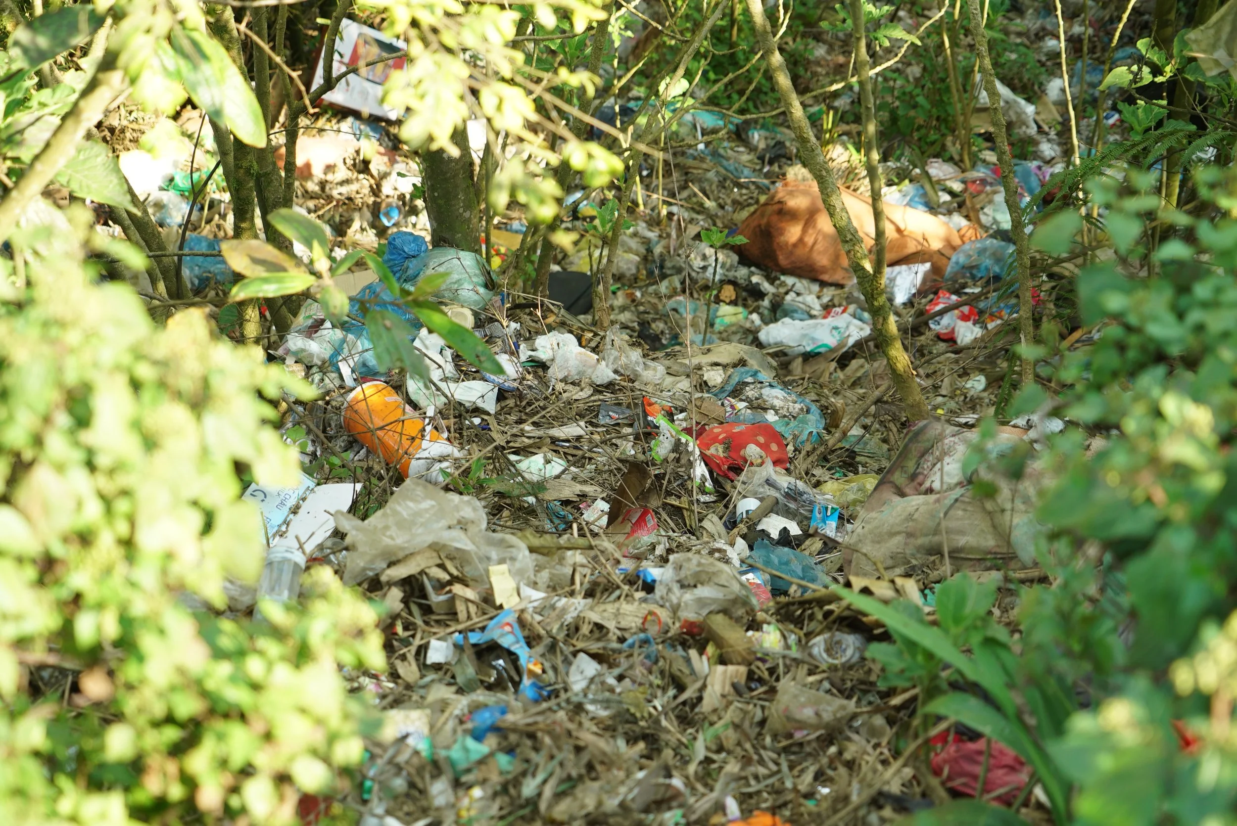 Rubbish scattered in a Sapa village forest showing the growing litter problem in local communities.