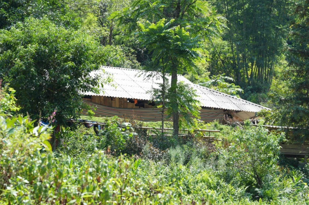 Rural Hmong family home near Sapa, showing the house surrounded by mountain vegetation.