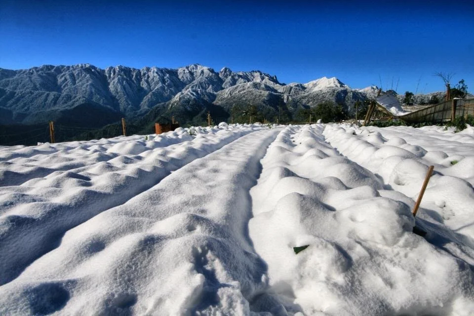 Image showing snow covered rice terraces with the summit of Mount Fansipan rising in the distance under crisp, blue skies.