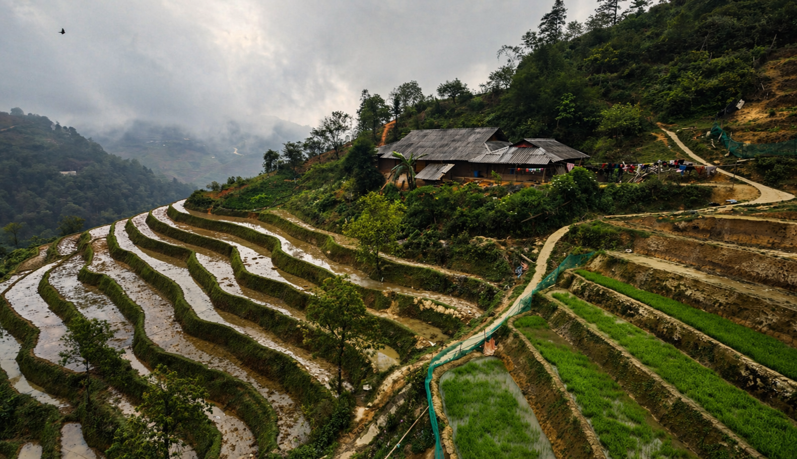 A rural homestay overlooks flooded rice terraces and winding mountain paths beneath a cloudy sky.