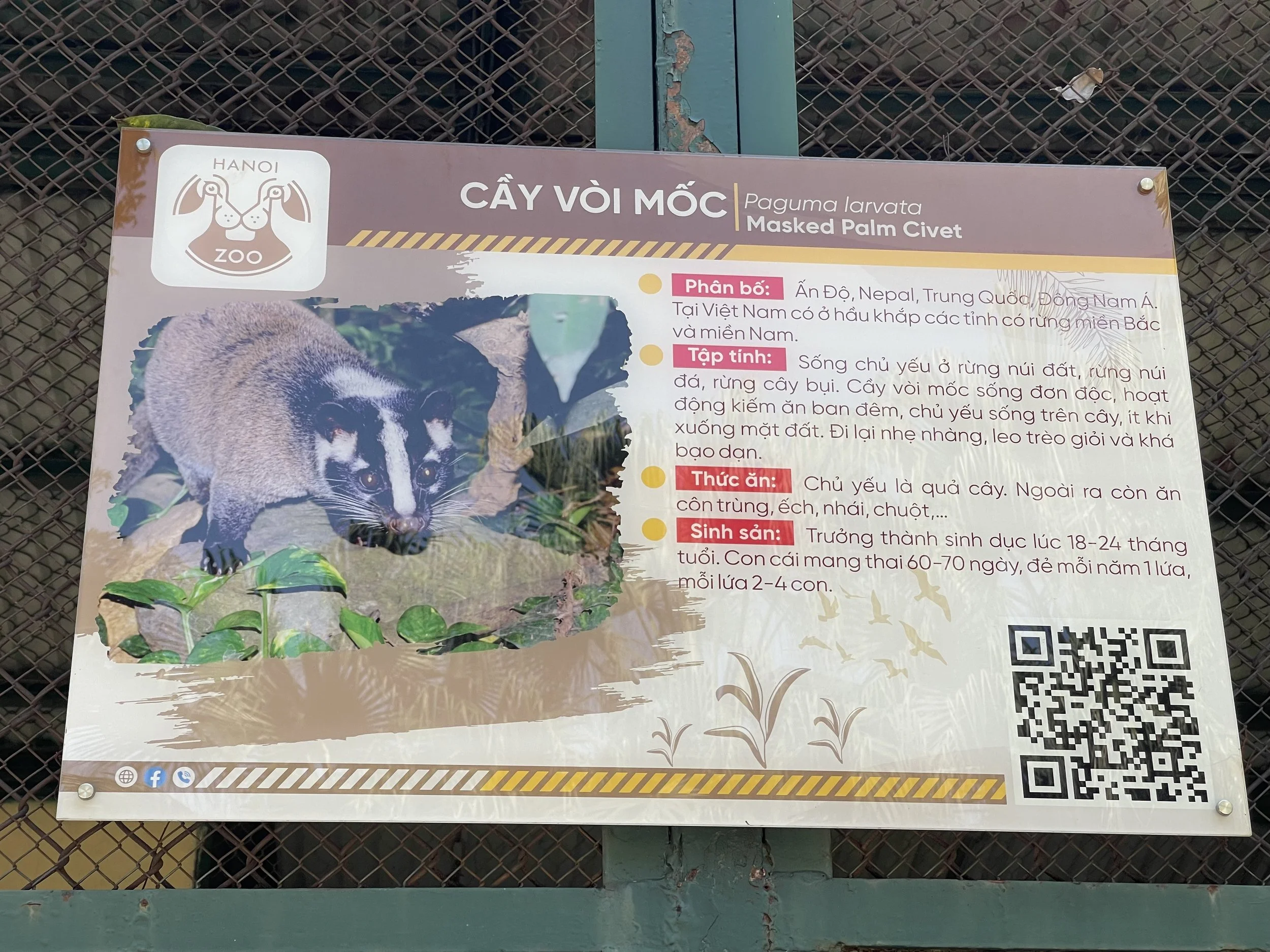 Informational sign about civet animal at Hanoi zoo