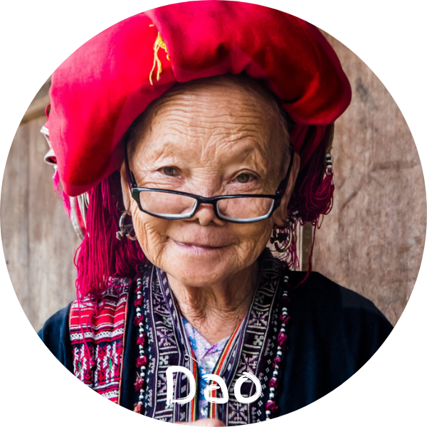 The Dao Ethnic Group of Northern Vietnam | Origins, Traditions & Red ...