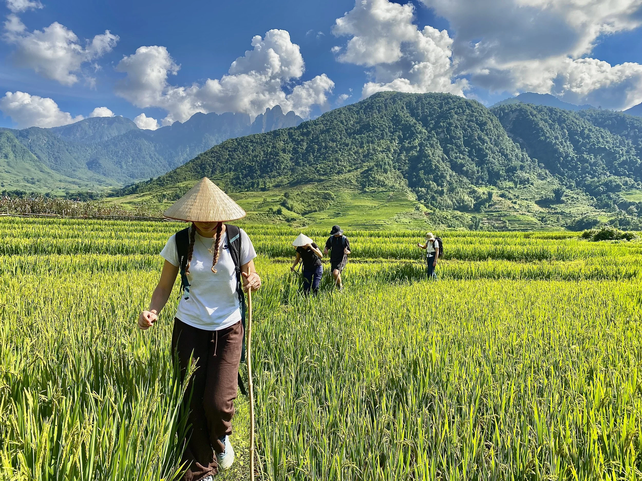 Traveler hiking through lush green rice terraces in Sapa during the growing season.