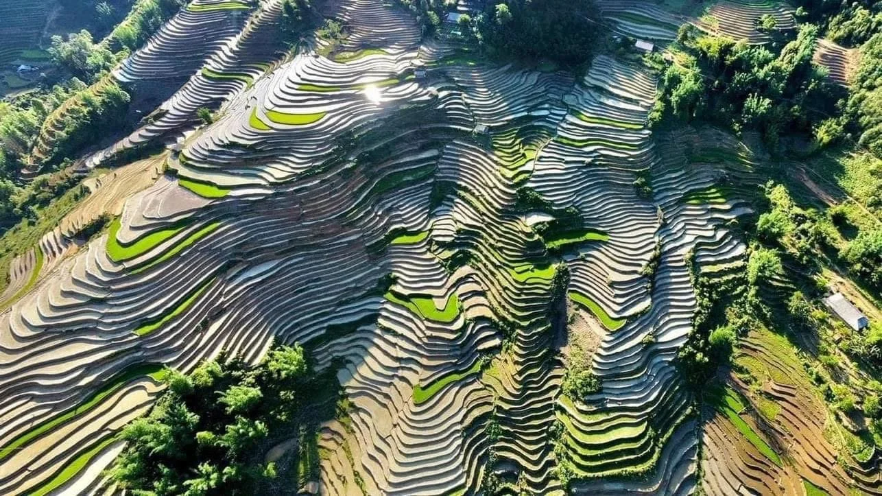 Aerial view of layered rice terraces in the mountains of Sapa, Vietnam, showing traditional farming patterns carved into steep hillsides.