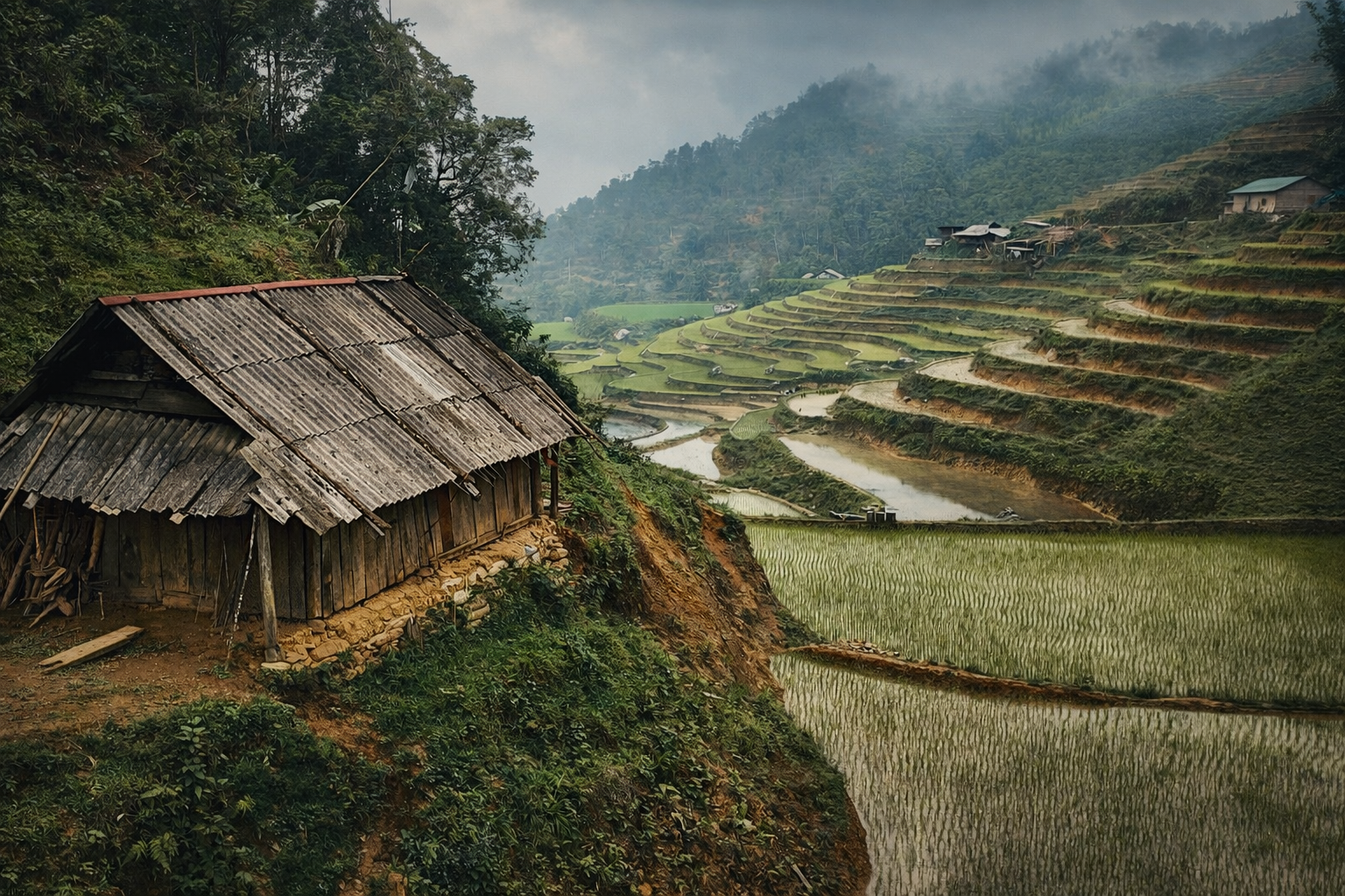 Traditional Hmong wooden house overlooking terraced rice fields in the Muong Hoa Valley near Sapa, Vietnam.
