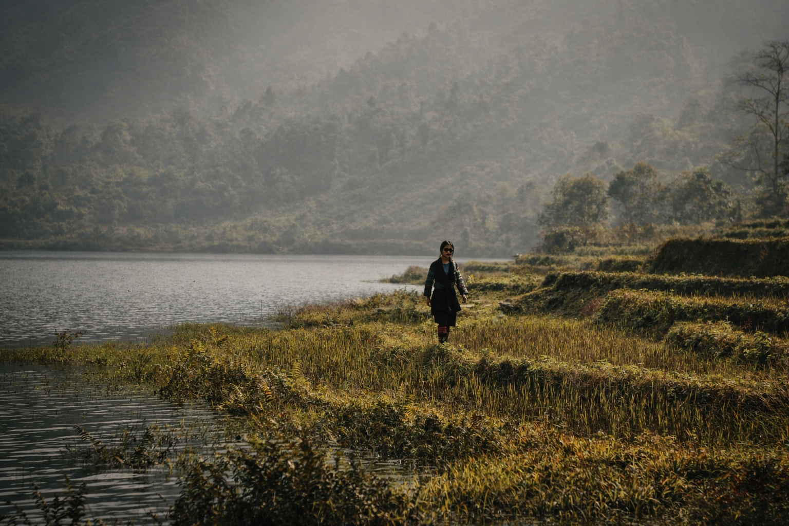 Hmong woman walking along the edge of a lake beside rice fields, with soft light and forested hills fading into the mist.
