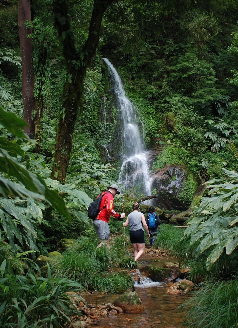 Travellers trekking beside a forest waterfall in Hoàng Liên National Park near Sa Pa.