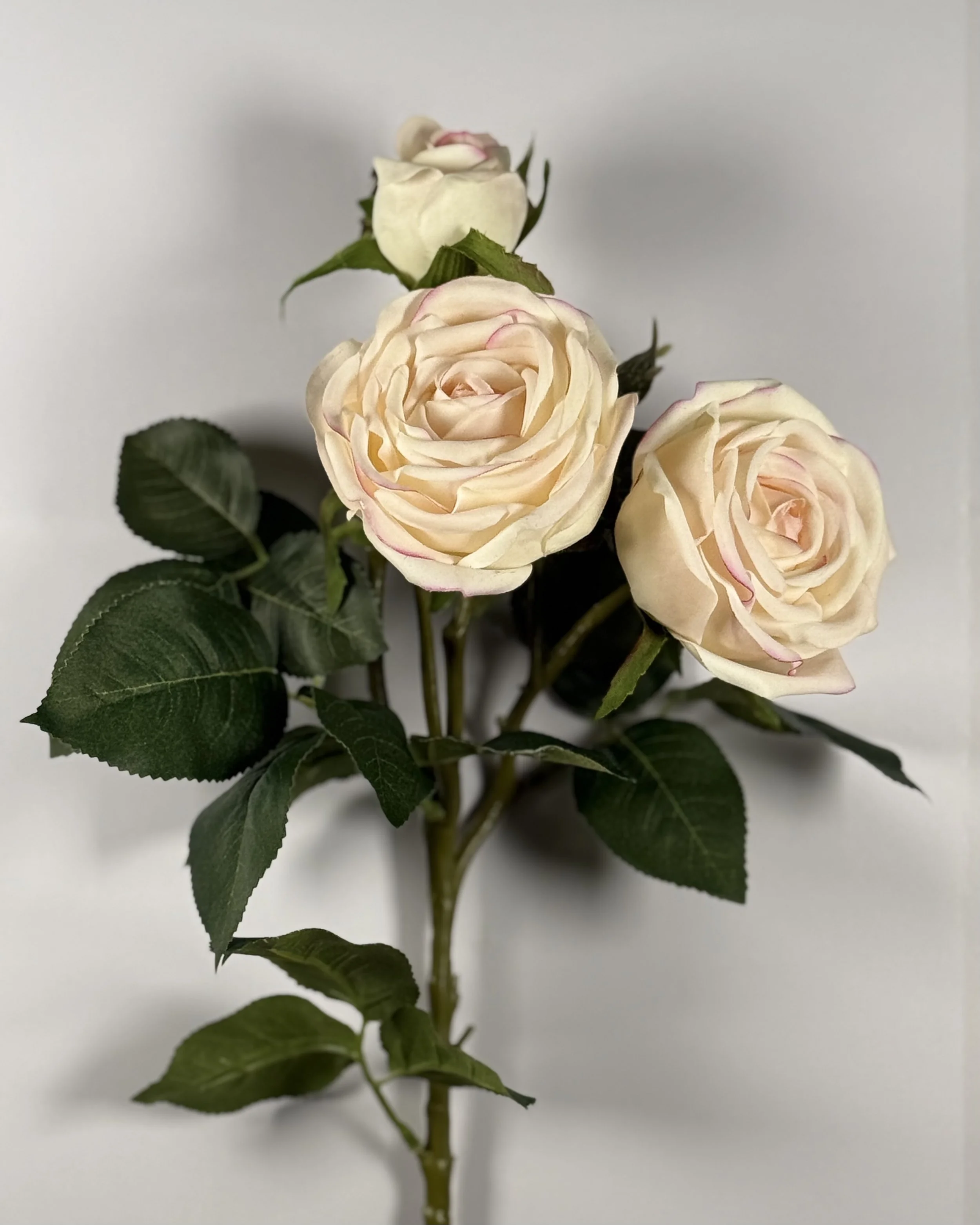 E22 Photograph 1.jpeg