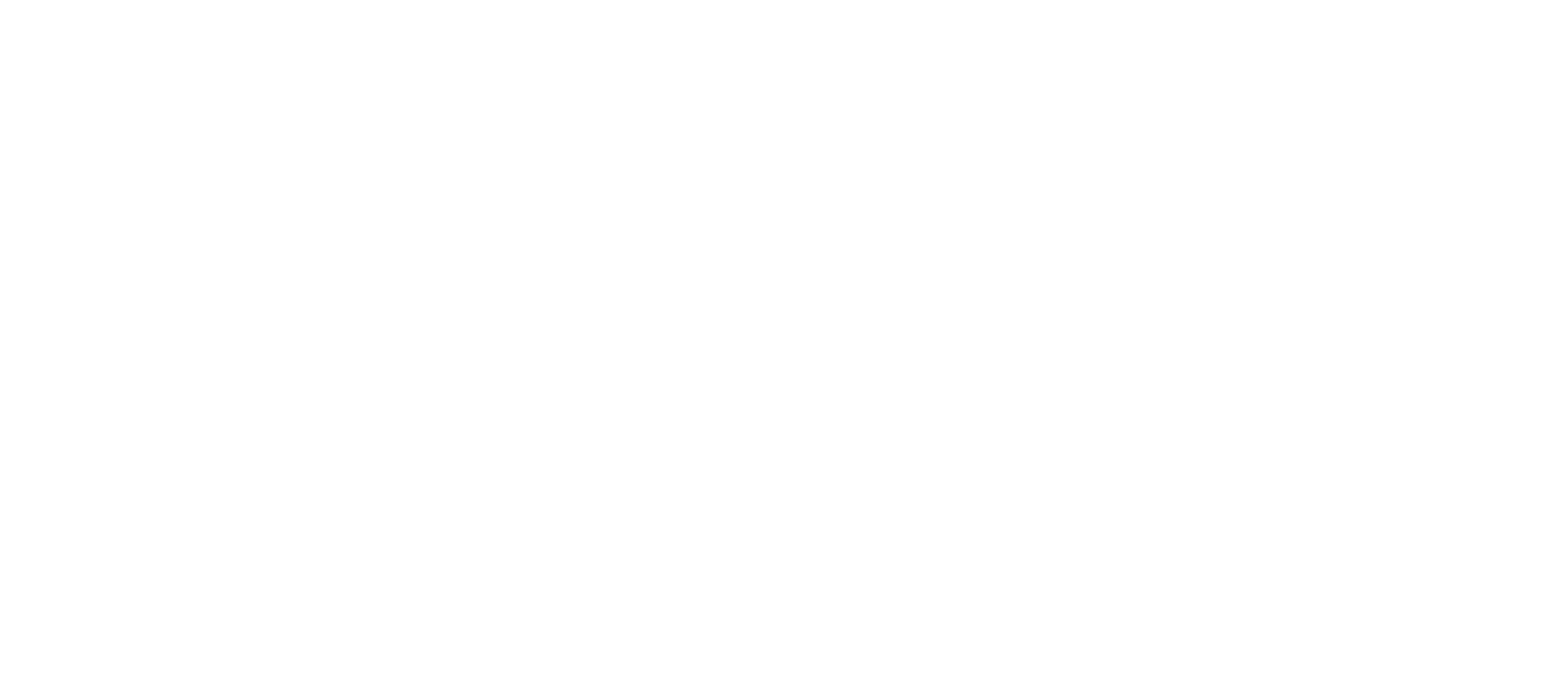 Logo for Live & Breath Sports featuring a large letter 'P' and a globe icon.