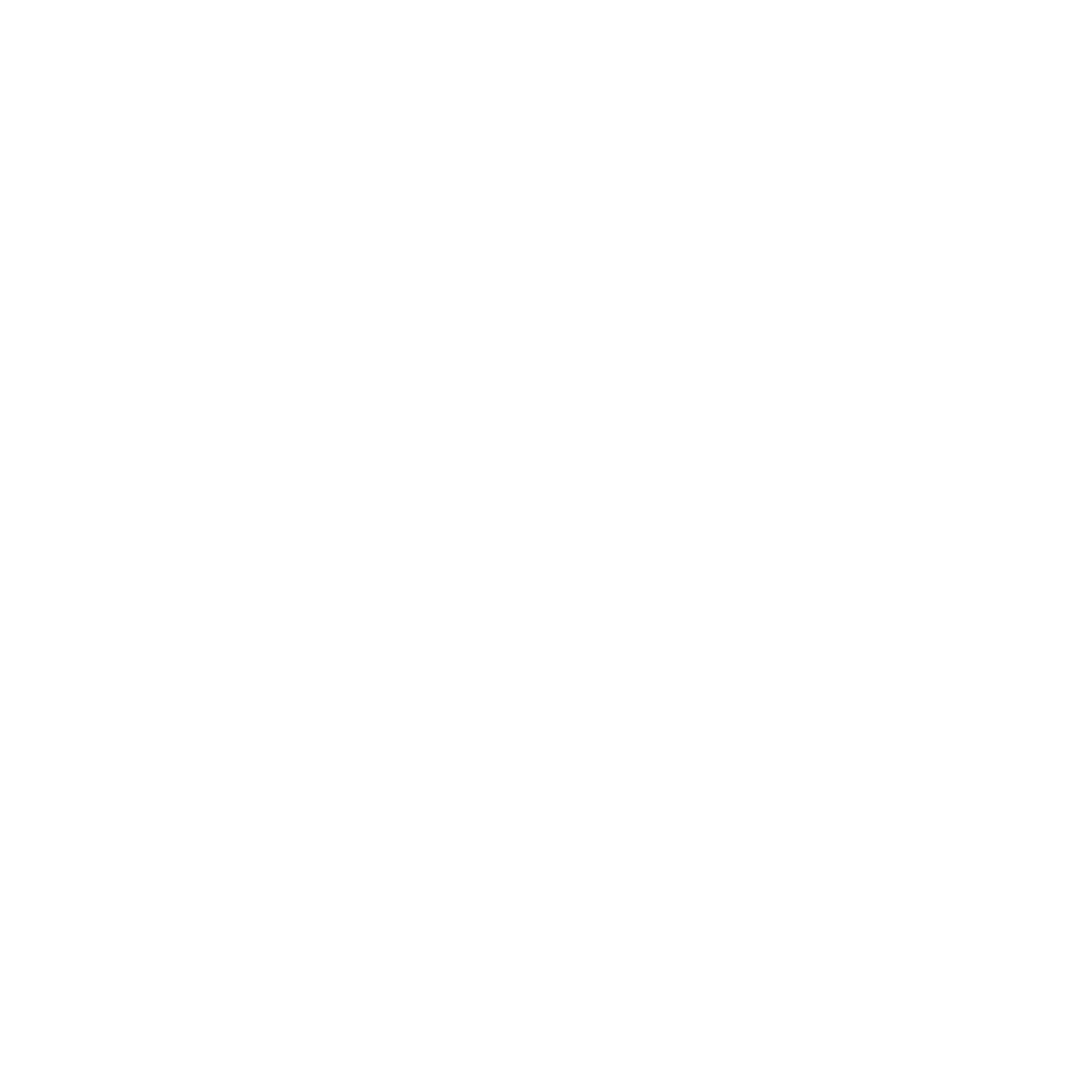 Black background with a white stylized bird wing design and the word 'CASTORE' in white capital letters below.