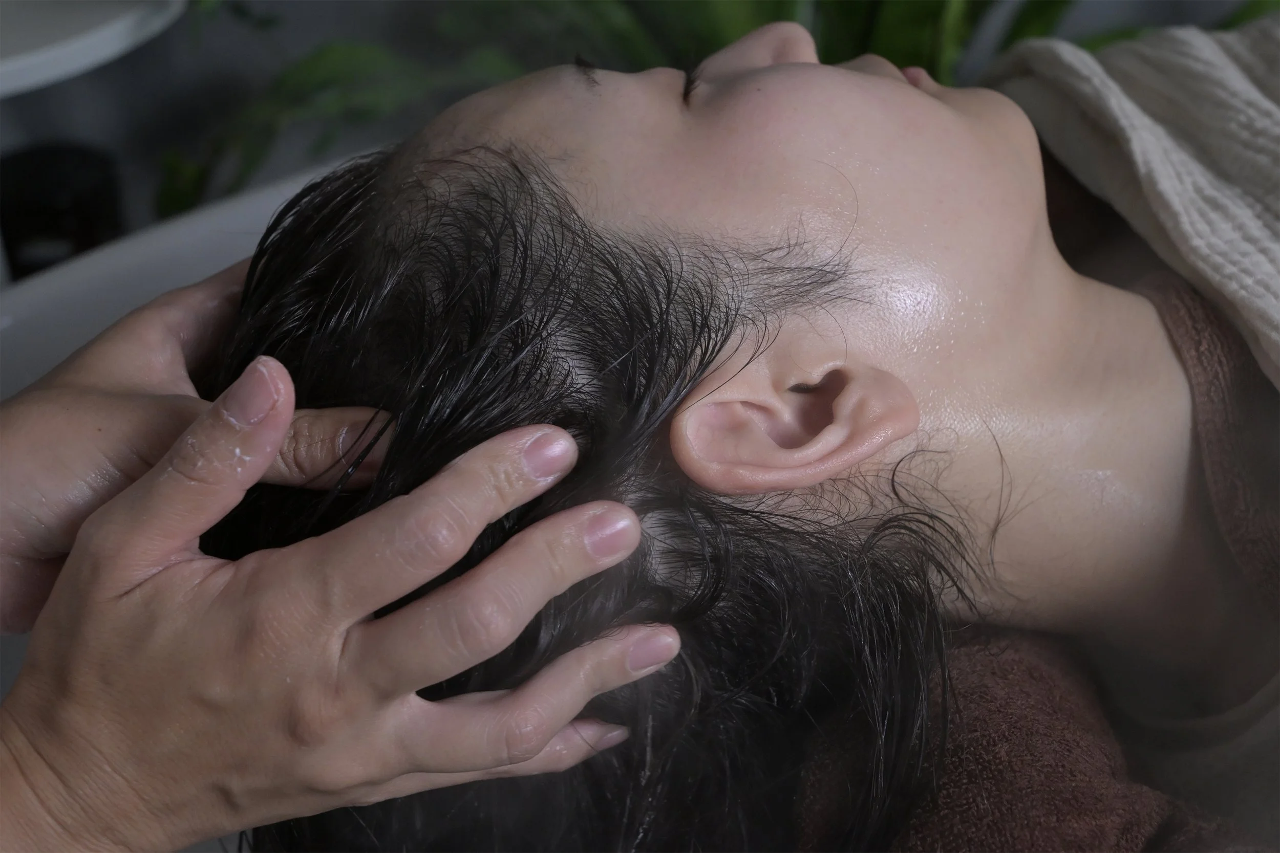 DSCff_4523.jpg