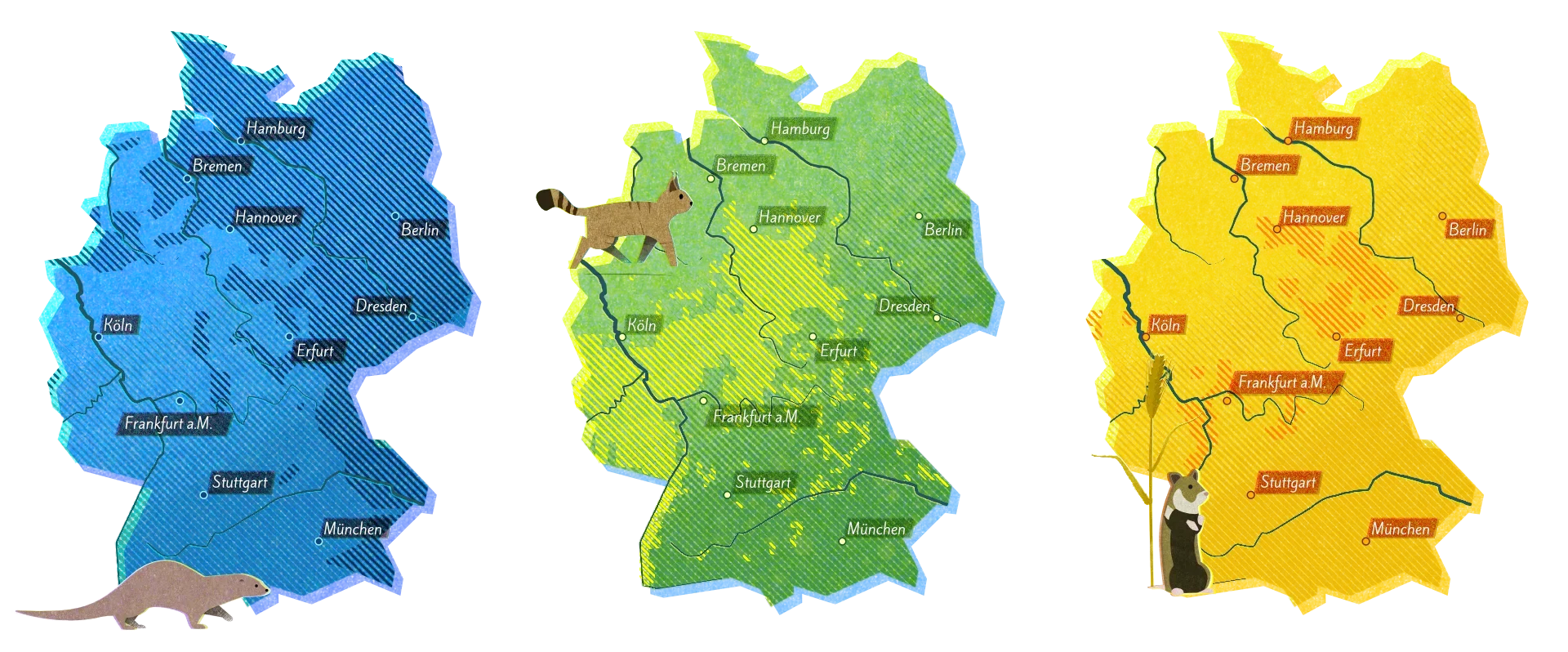 Individuelle Kartografie - ansprechendes Kartendesign