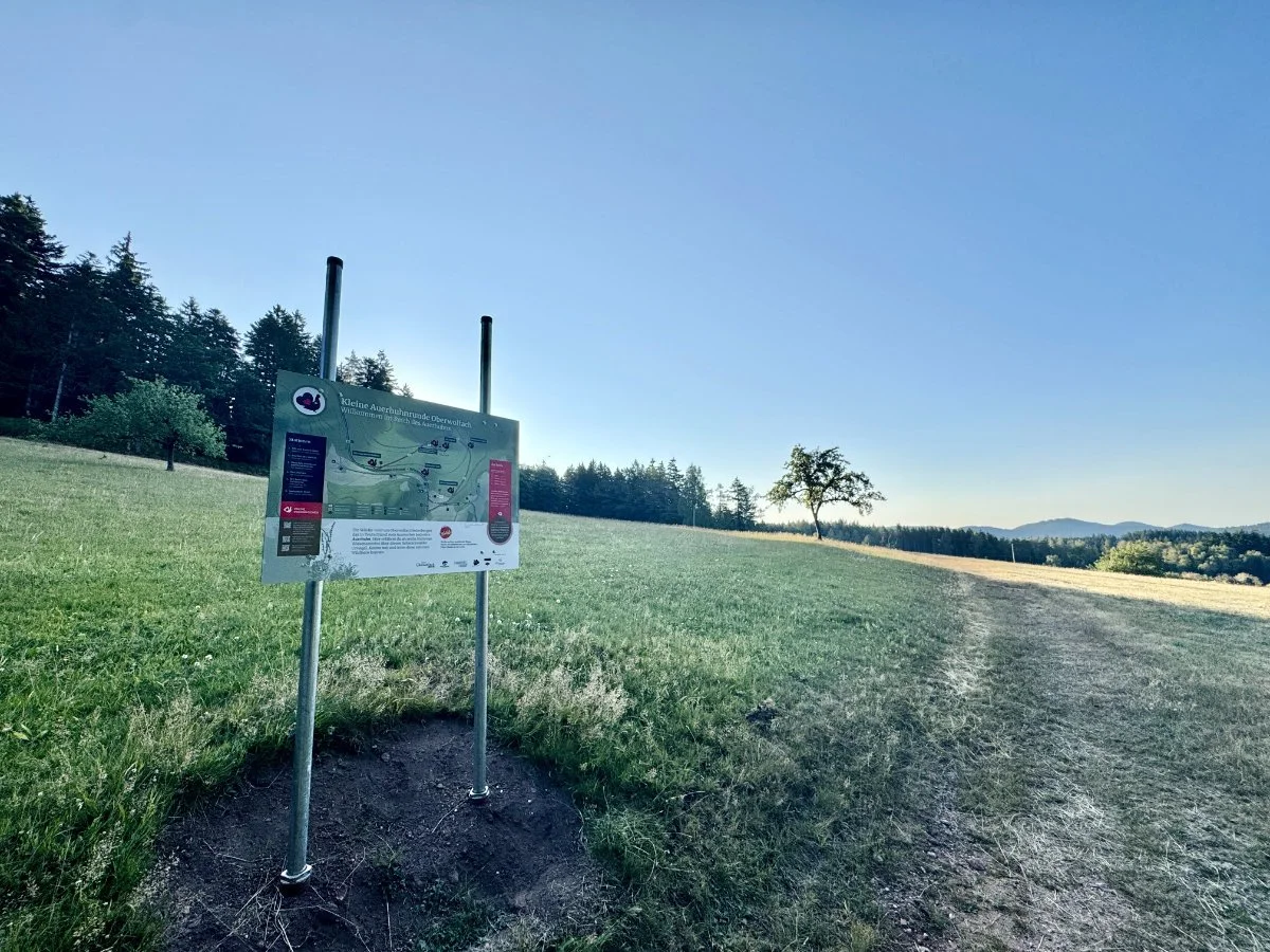 Ausgangspunkt der Wanderung mit Infotafel zum Routenverlauf