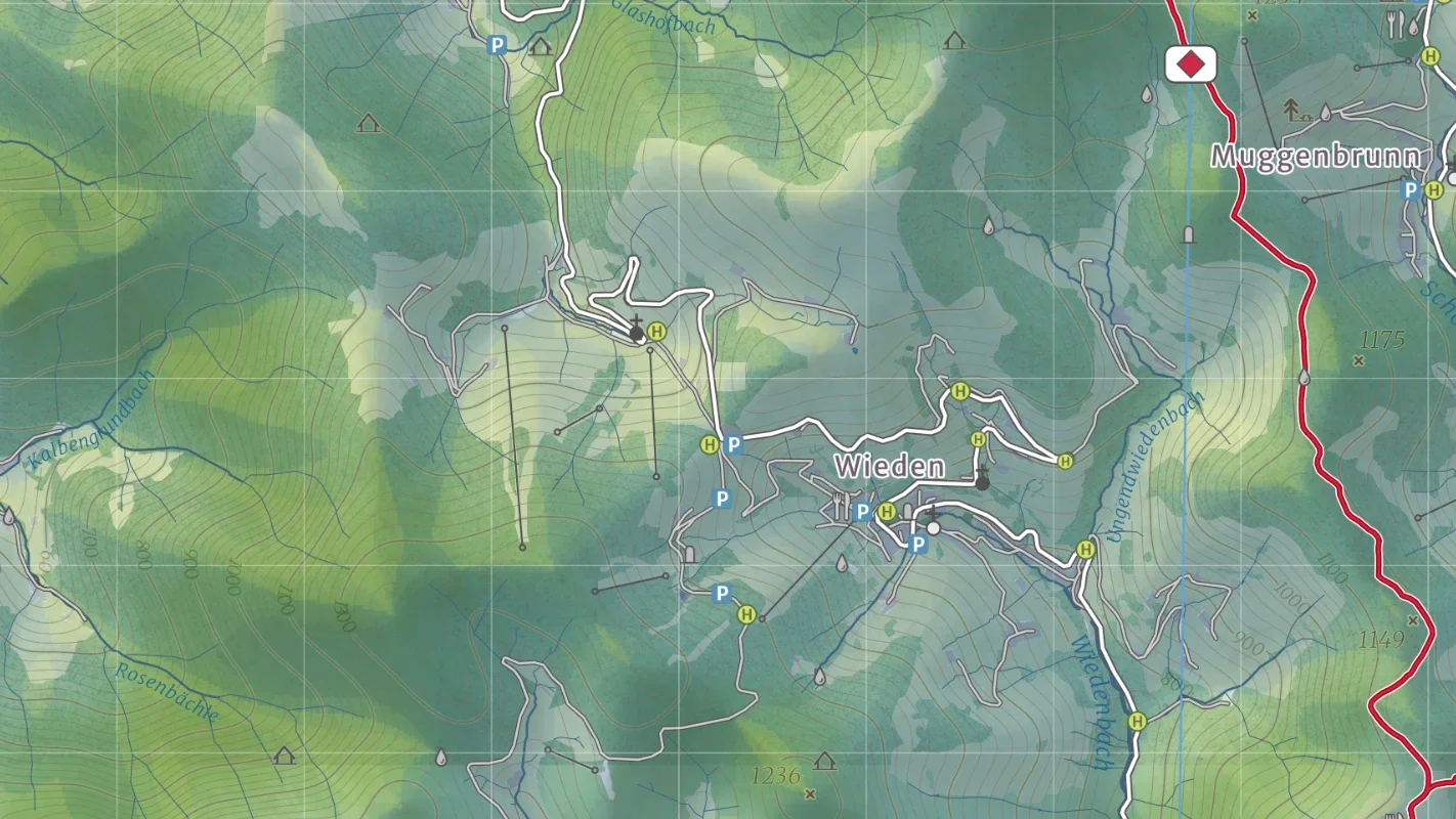 Detail Wanderkarte aus der Tourismusregion Südschwarzwald mit Höhenlinien und Schummerung