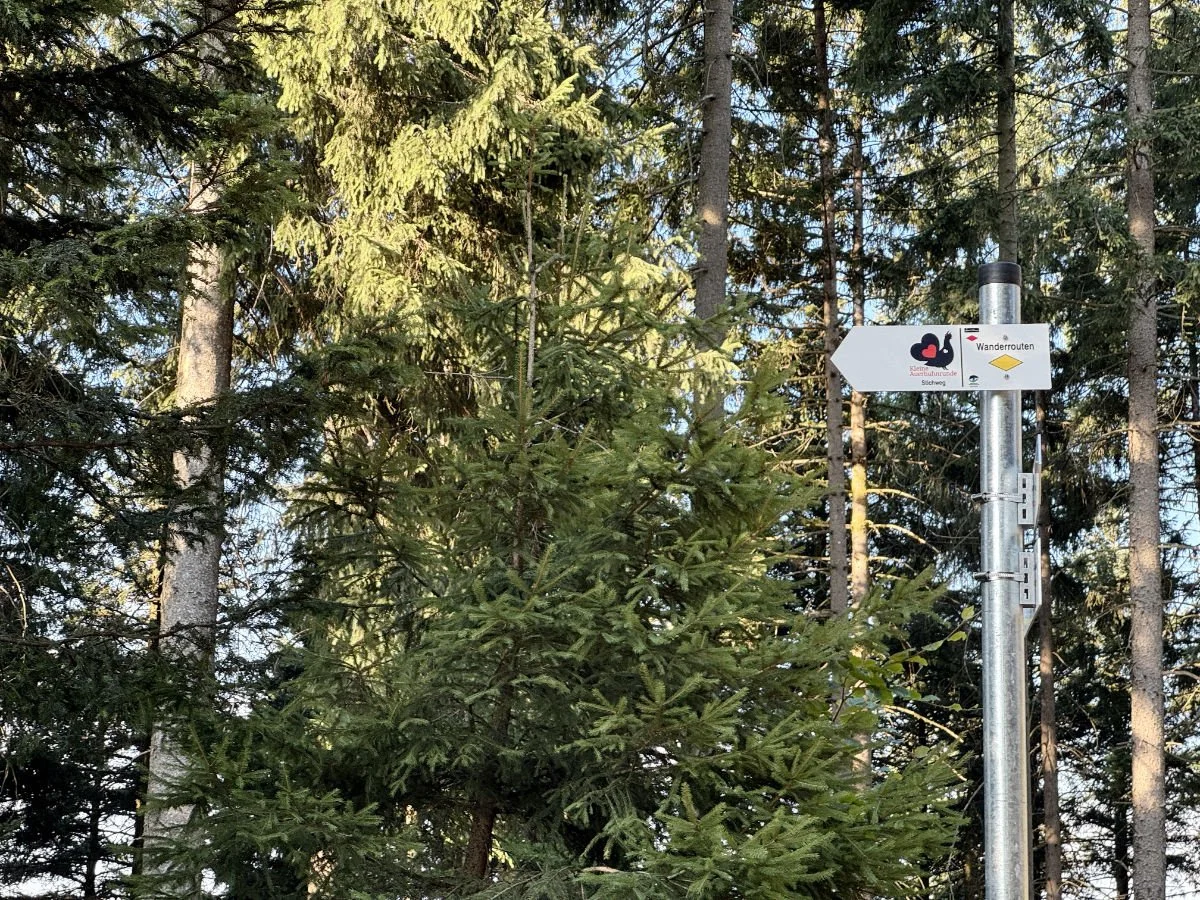 Wegweiser des Themenwanderwegs "Kleine Auerhuhnrunde" am Gütschkopf