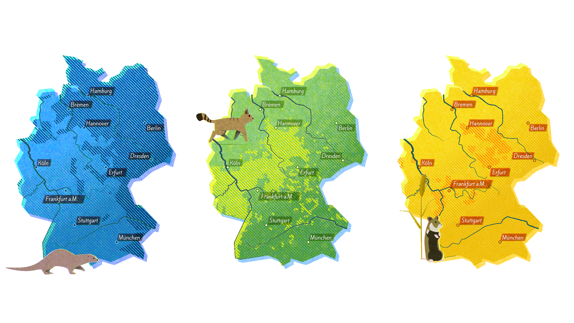 Individuell erstelle Lanarte Deutschlands in blau, grün und gelb, mit Tierzeichnungen: Fischotter auf der linken Seite , Wildkatze in der Mitte, Feldhamster ganz rechts. Schraffiert ist in jeder Karte die Verbreitung der jeweiligen Art eingezeichnet.