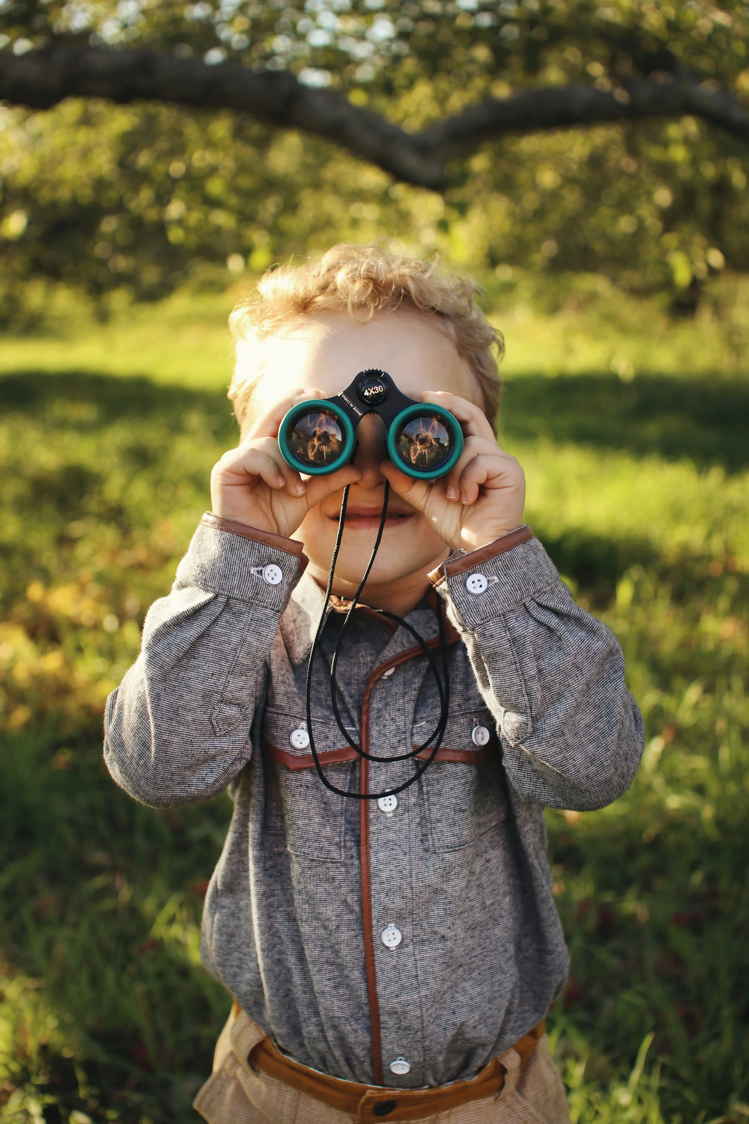 In Search for the New Search