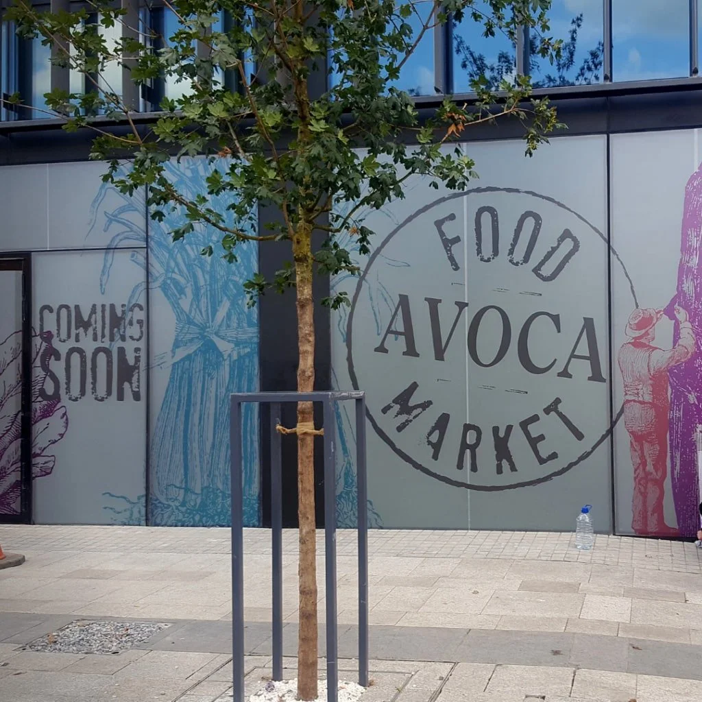 A young tree planted in front of a large sign for Food Avoca Market, with a small water bottle on the sidewalk nearby.