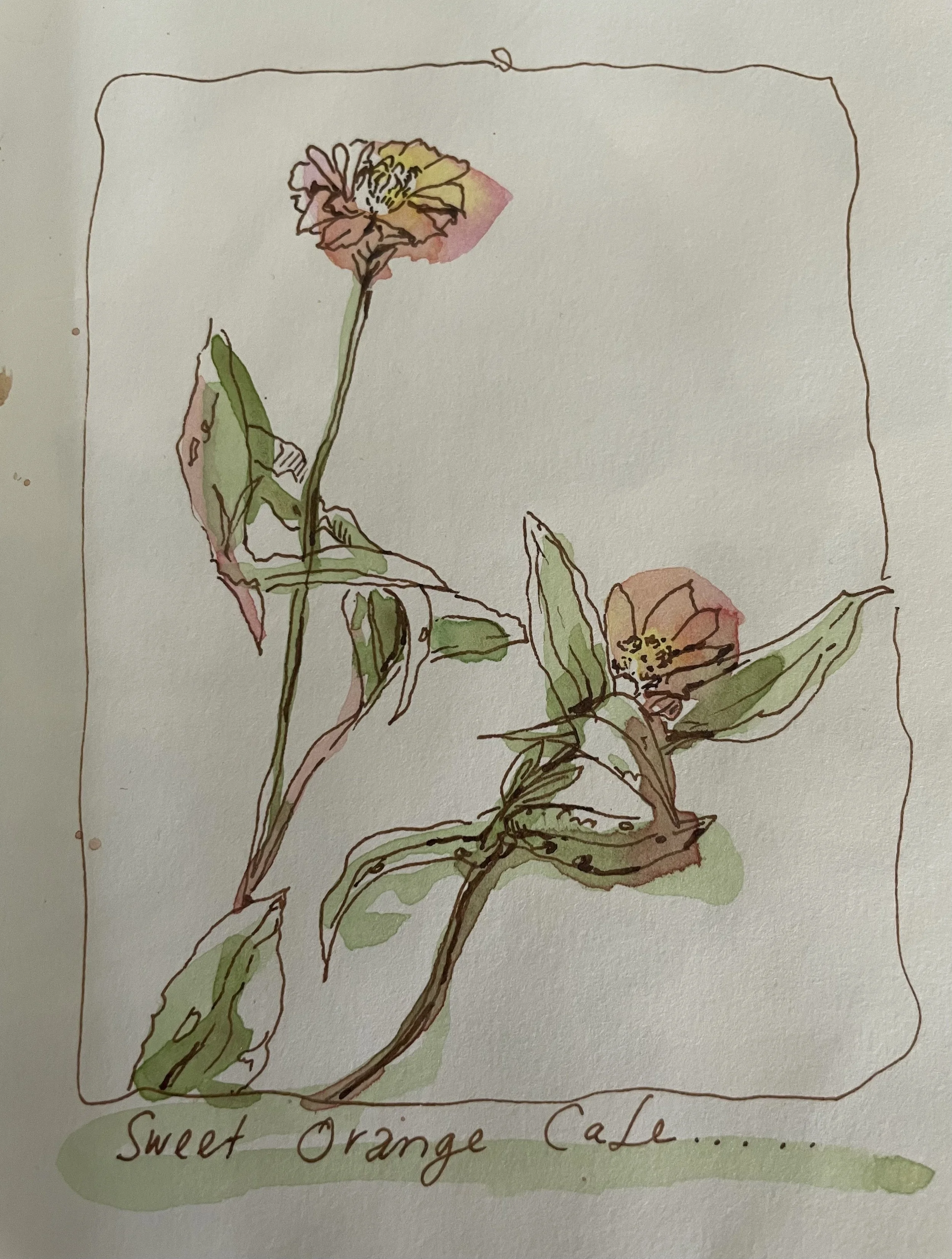 Sweet Orange Walk|Ubud|Bali