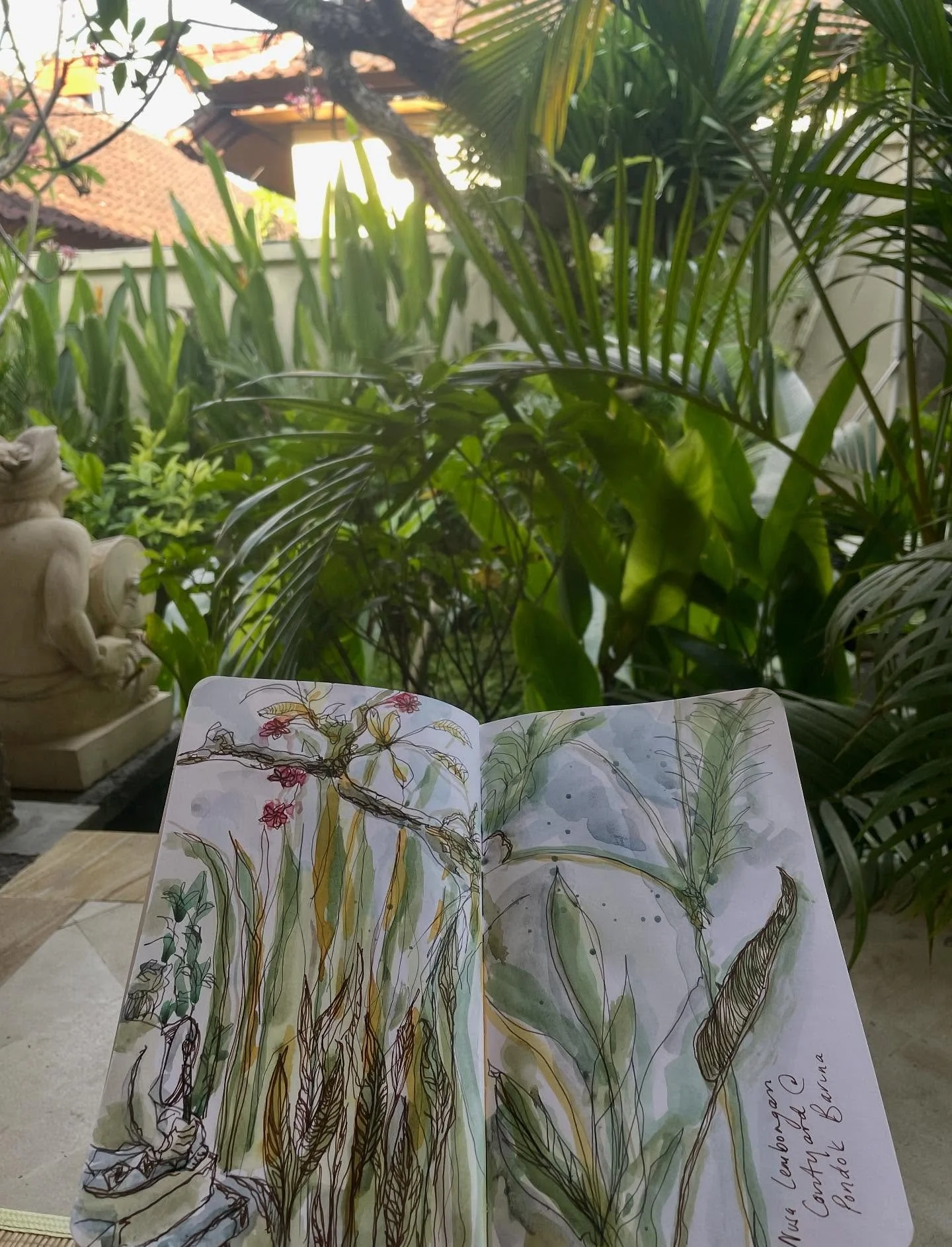 Quiet afternoon on Nusa Lembongan. Pink frangipani views. 

#travelsketching #travelsketchbook #sketching