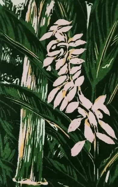 Ginger Three|Edition of 12Awagami Hosho Select Paper|9x6cm Image|26x20cm paper|$95.00 print only|contact me for details