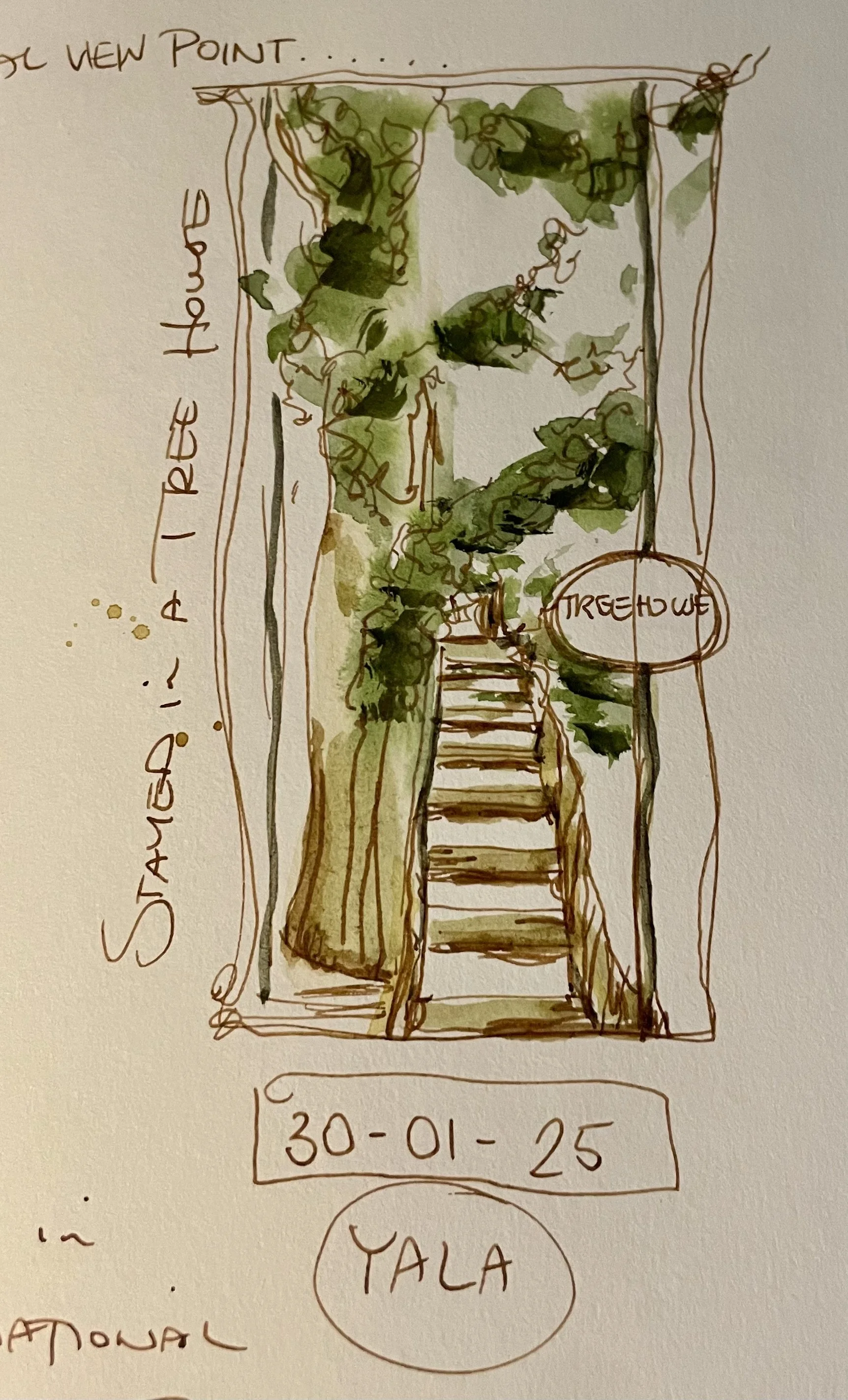 Tree House|Yalla National Park|Sri Lanka