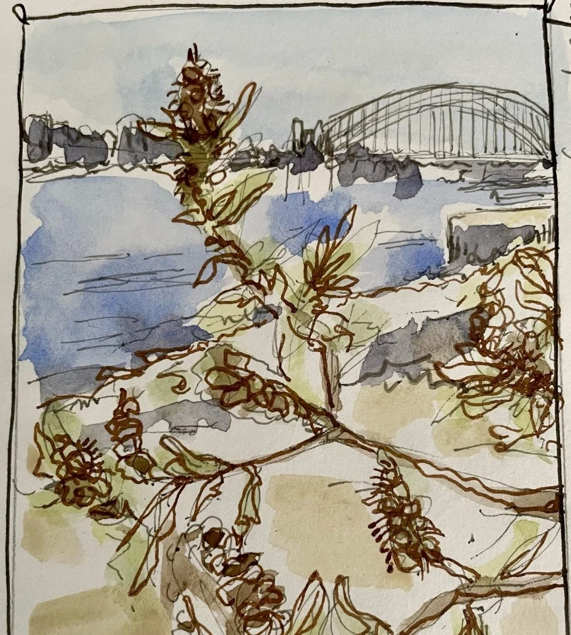 Sydney|Harbour Bridge|Study