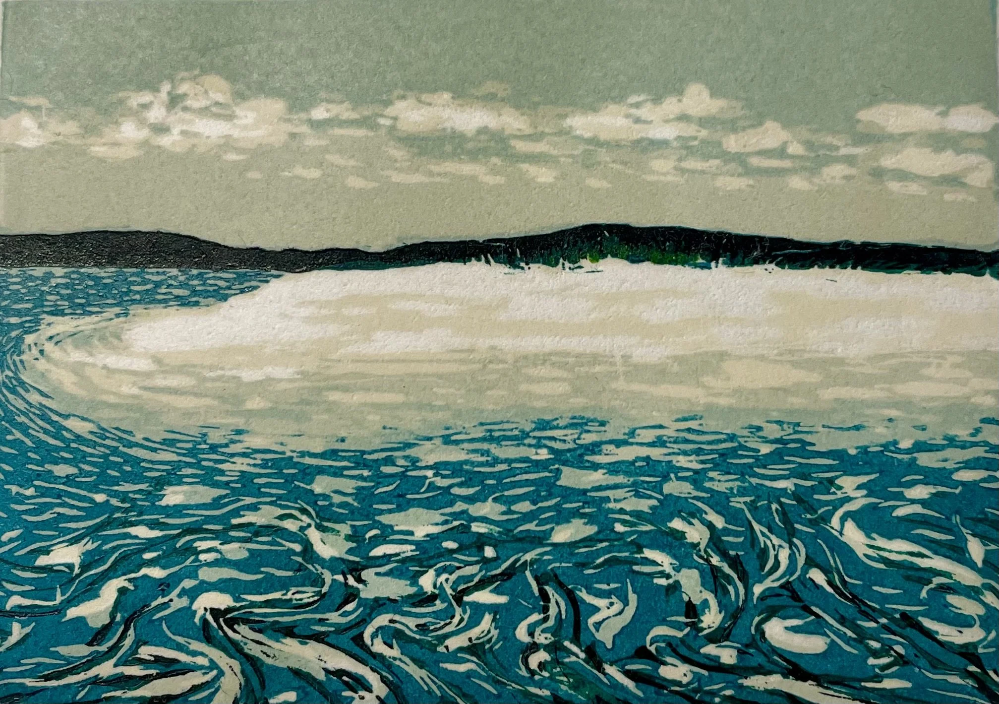 Pelicans|Edition of 16|Awagami Hosho Select Paper|14x18cm|$75.00 print only|contact me for details