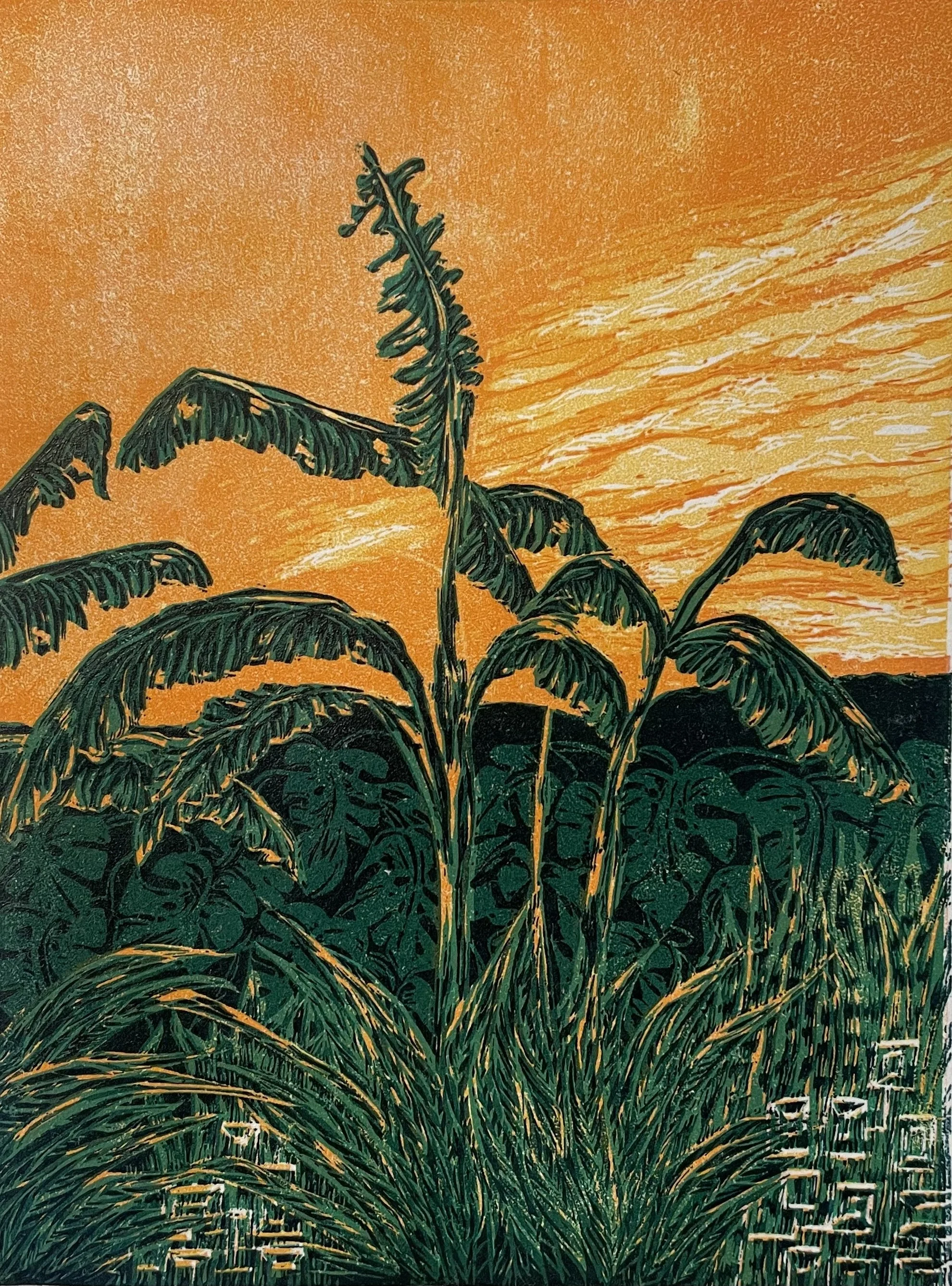 Banana Sunset|Edition of 19|Awagami Hosho Select Paper|28x23cm|$95.00 print only|contact me for details