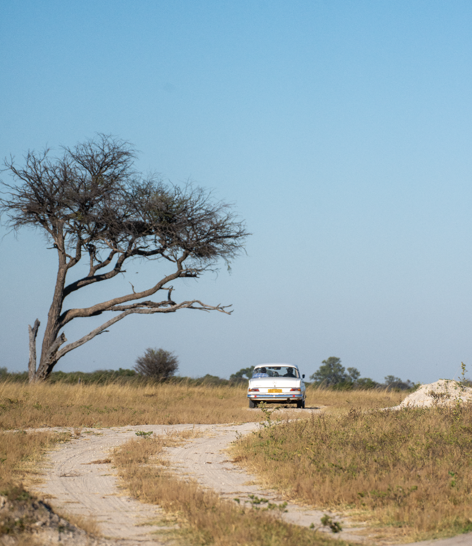 A white rally vehicle on a dirt road in the Zimbabwean bush