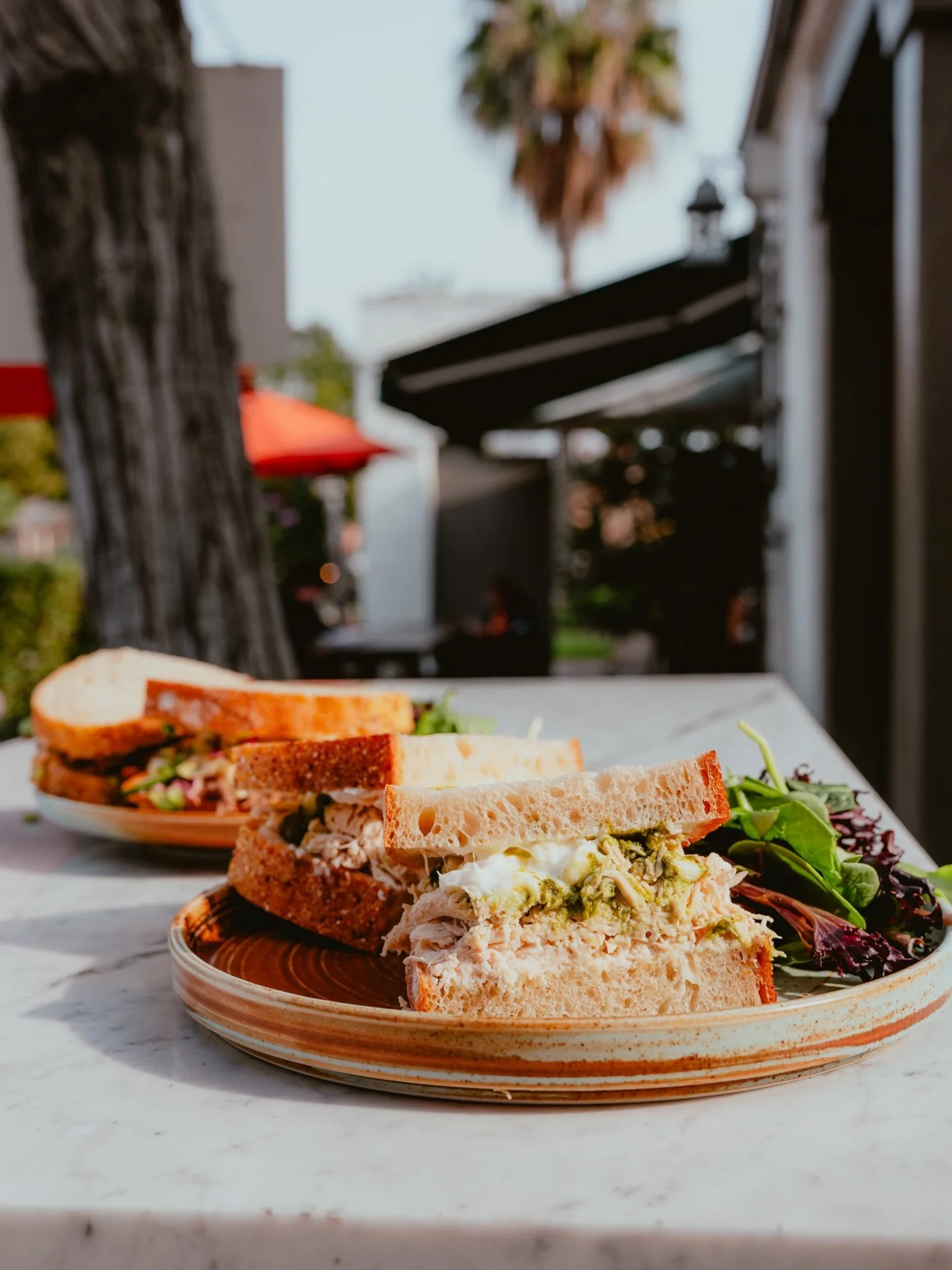 Big news for our South Pasadena community! ☕🌿

Starting Monday, March 9, Piccadilly Grace &ndash; South Pasadena will now be open 8:00 AM &ndash; 4:00 PM.

With our new garden patio in the works, refreshed indoor seating that&rsquo;s on the way, and