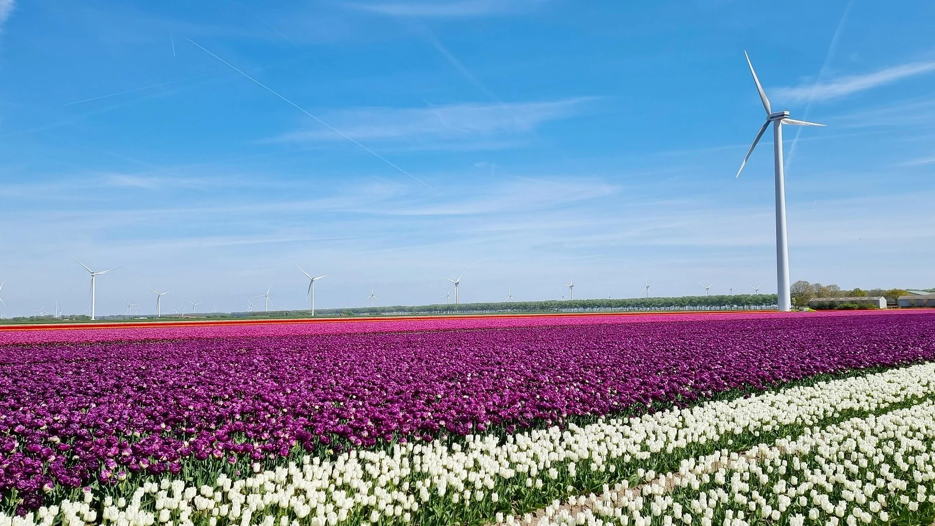 Cost of Living in Flevoland for Expat Families: Your Detailed Guide to Almere & Lelystad