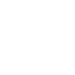 Icon of a mobile device with a magnifying glass for search or zoom.