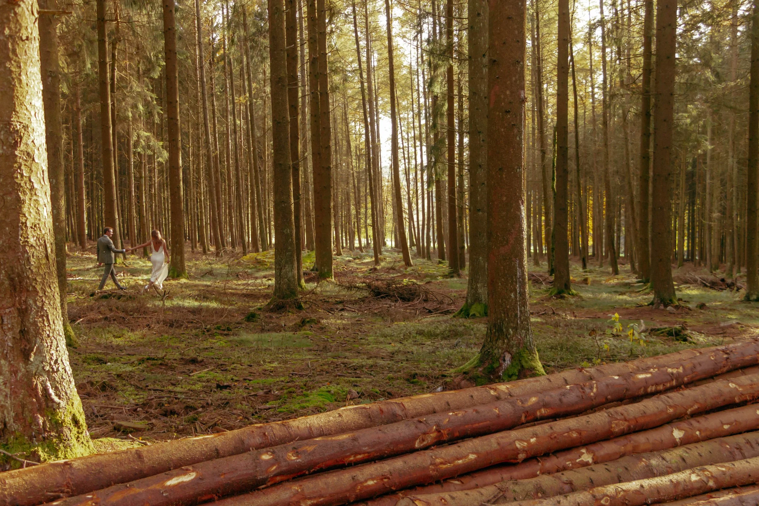 Bruiloft fotoshoot bos