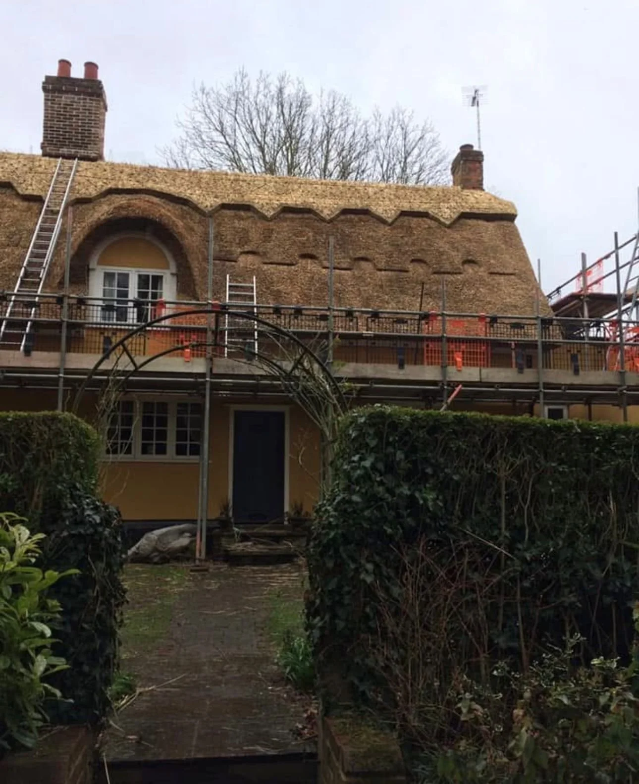A house under renovation with a thatched roof in progress, scaffolding surrounding it, and a garden path leading to the front door.