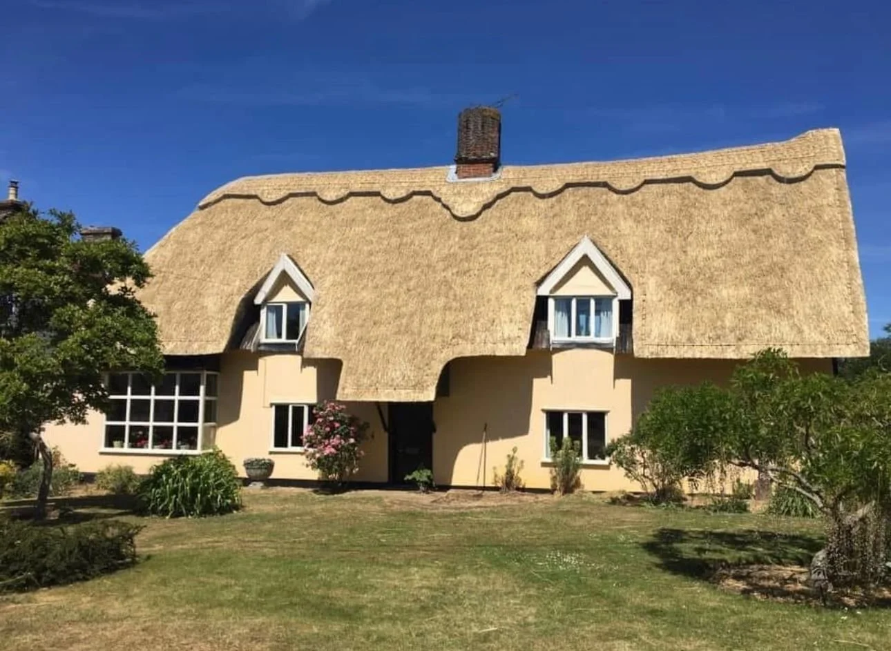 A house with a thatched roof and white walls, surrounded by a garden with green bushes and trees, under a blue sky.