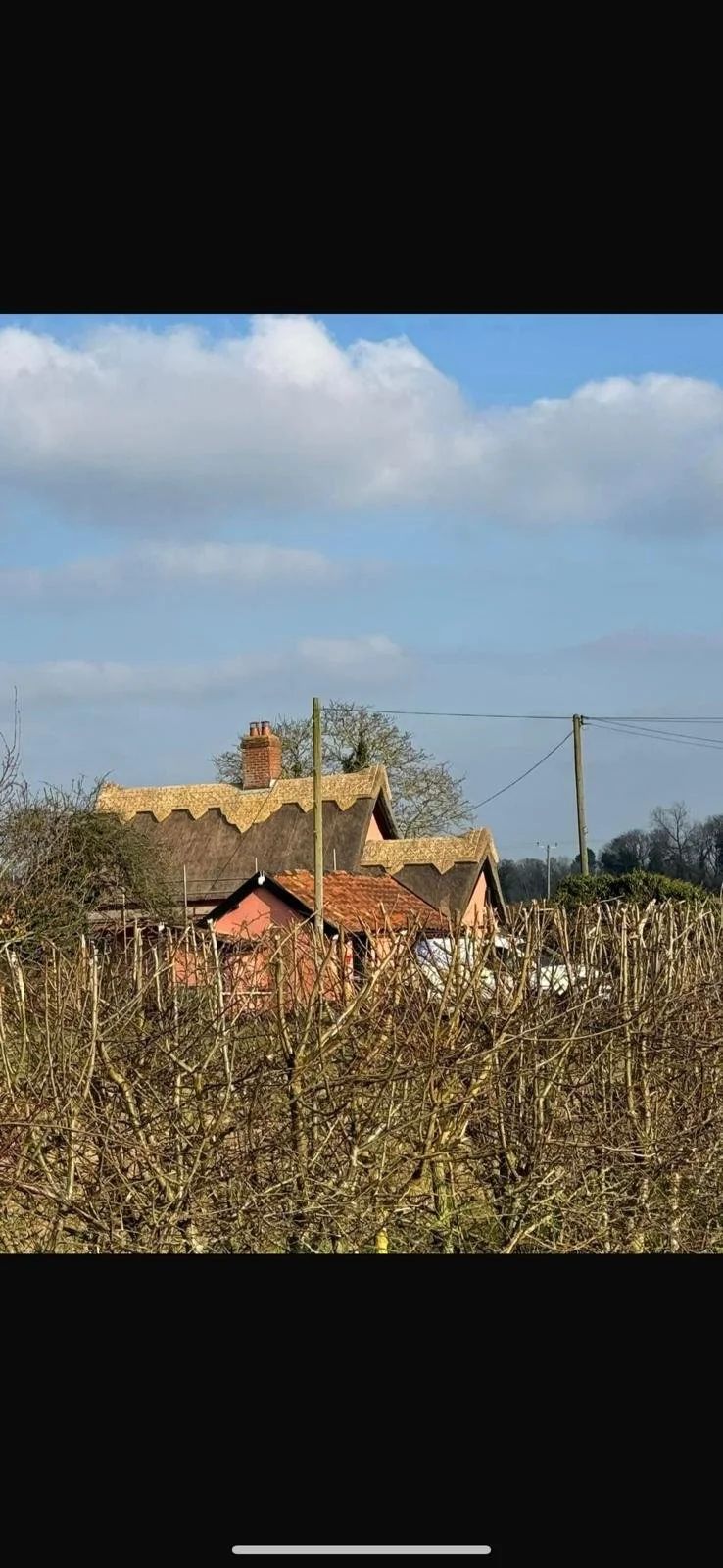 A house surrounded by leafless bushes and trees under a partly cloudy sky, with telephone poles and wires in view.