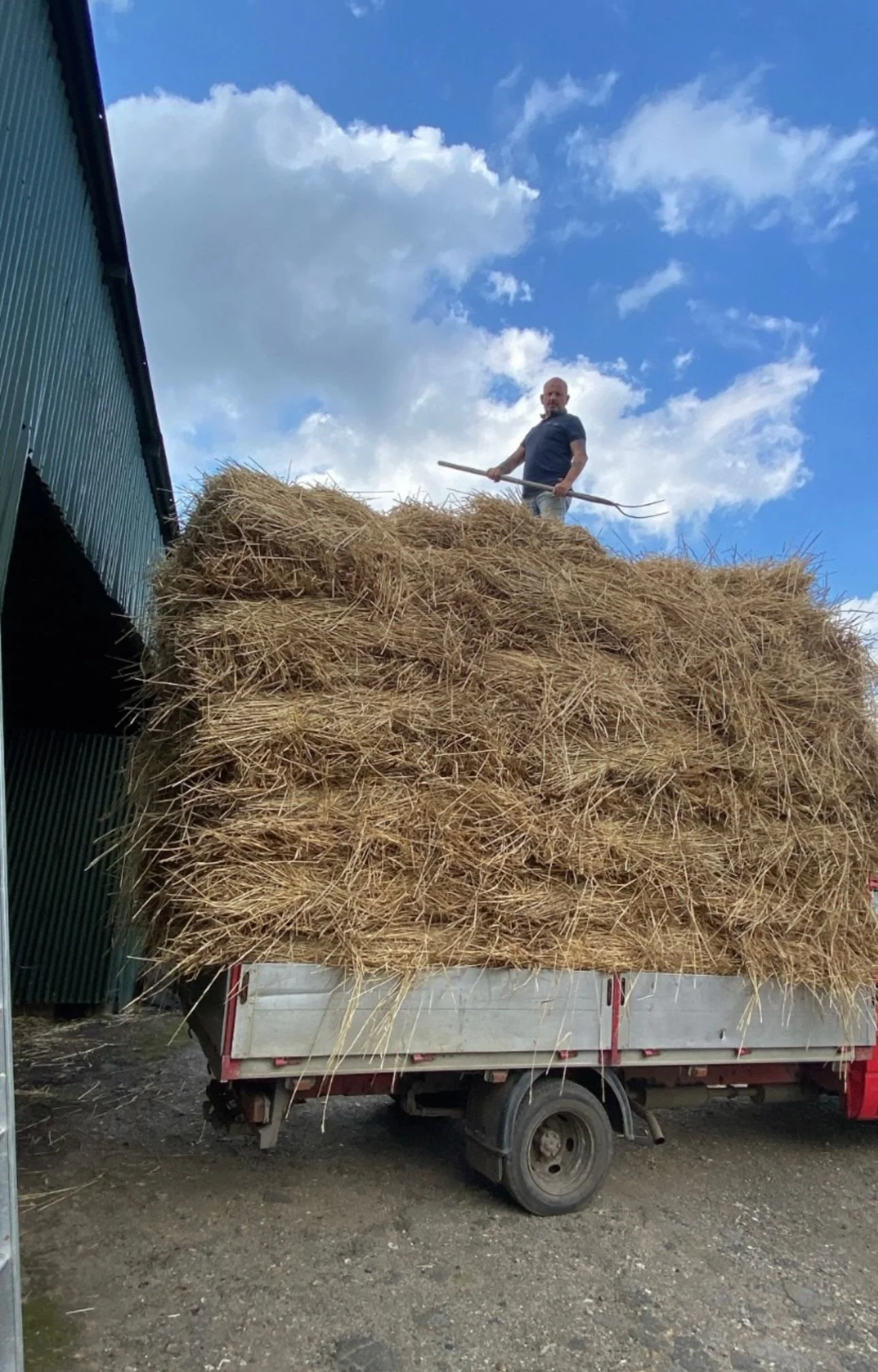 A man standing on top of a large stack of hay on a flatbed truck, holding a pitchfork, with a blue sky and some clouds in the background.