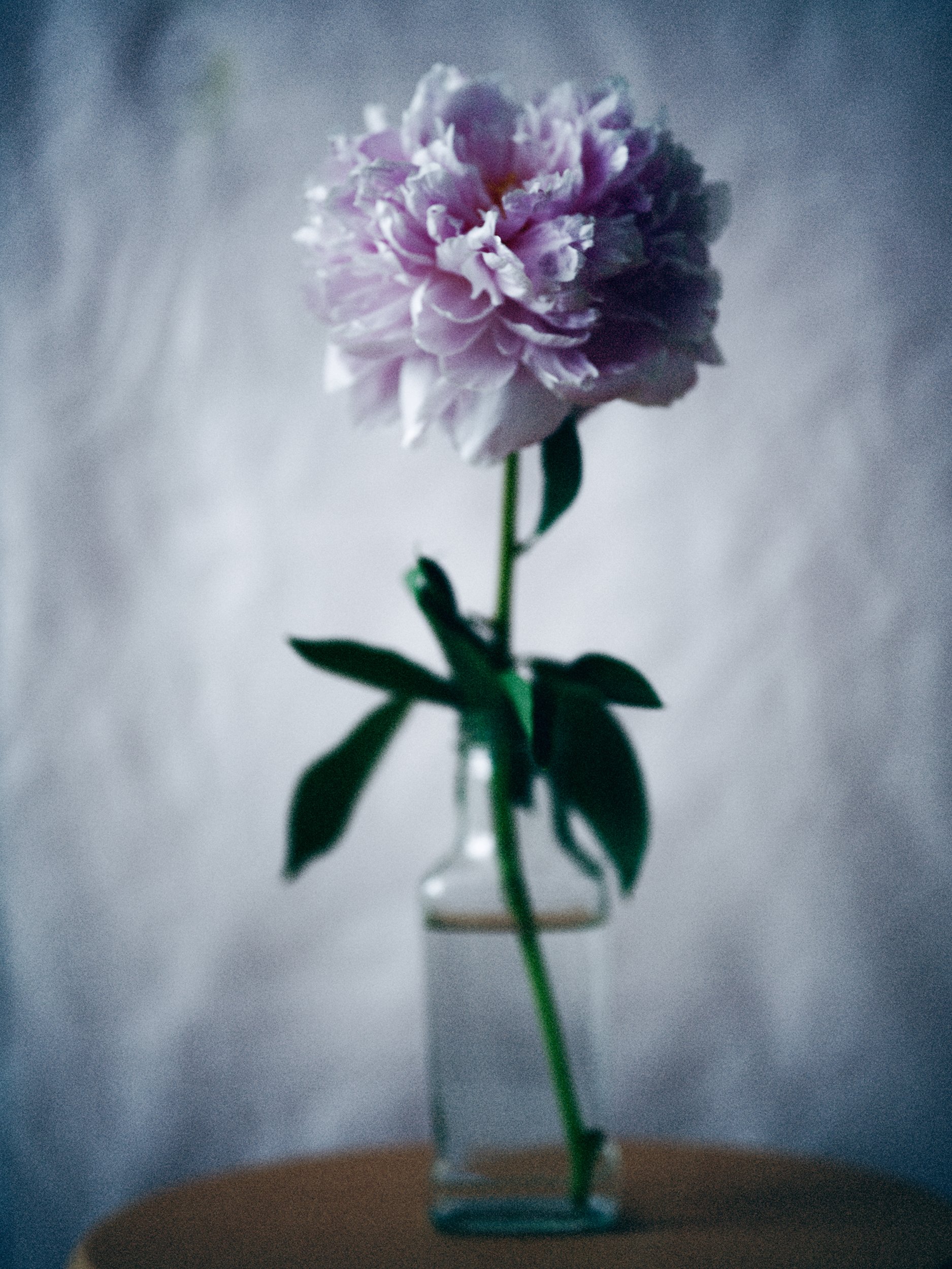 10_B0016412_X2D.jpg